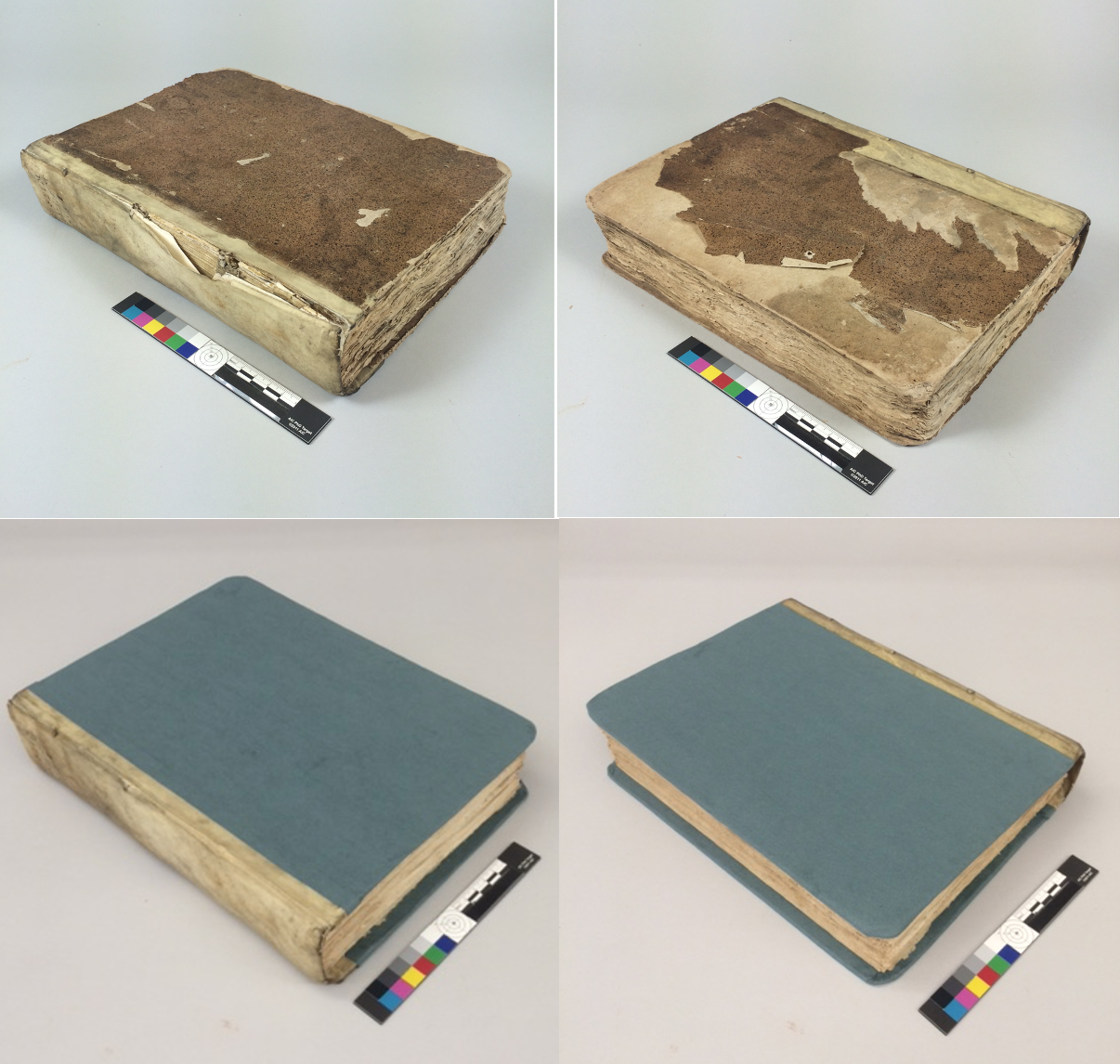 Screen Shot 2023-10-22 at 12.30.38 PM.png