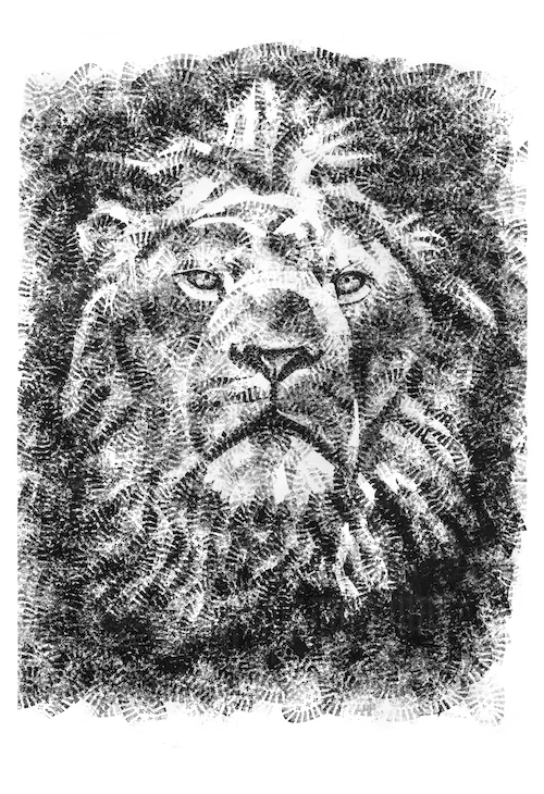 SEEK AND YOU SHALL FIND Freddy Paske Giclée Print (Limited edition of 250) 52x35cm £90 
