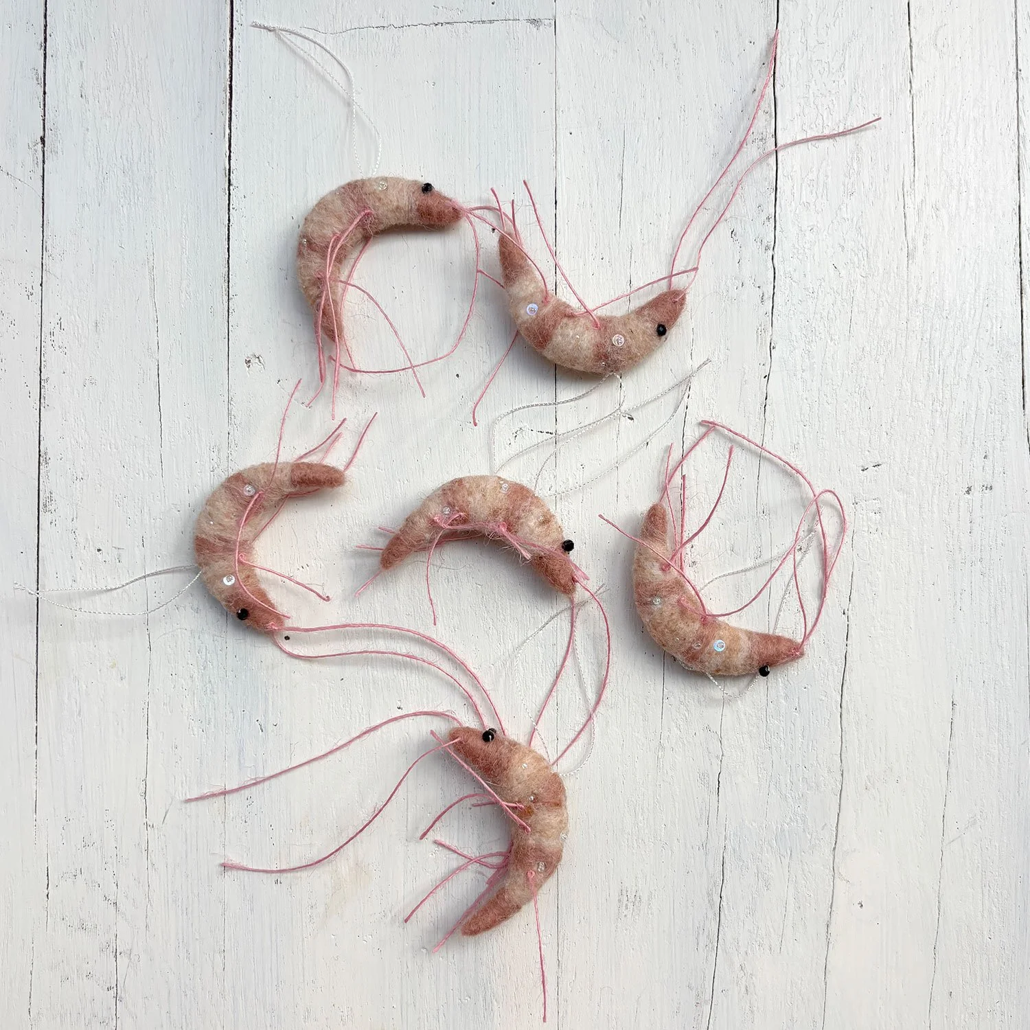 Thirdlee_Shrimps_726.jpg
