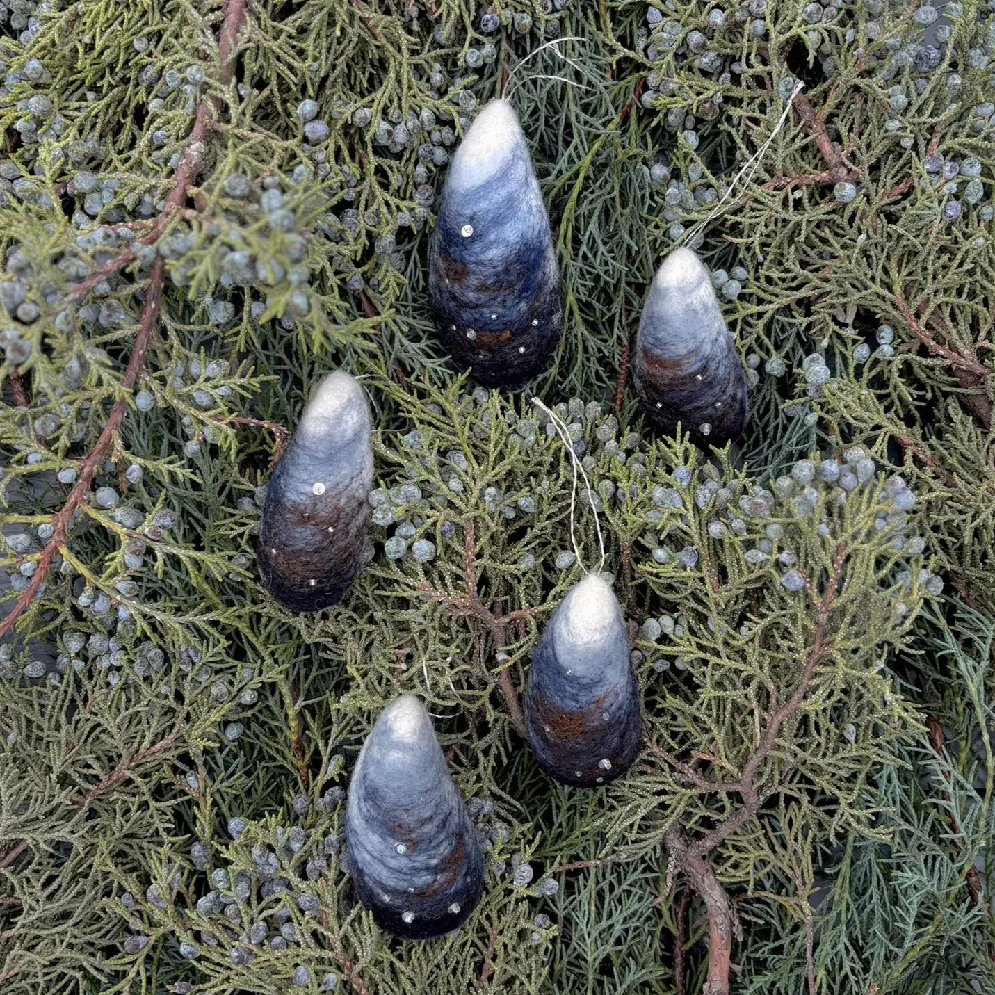 Thirdlee-Xmas25_mussels.jpg