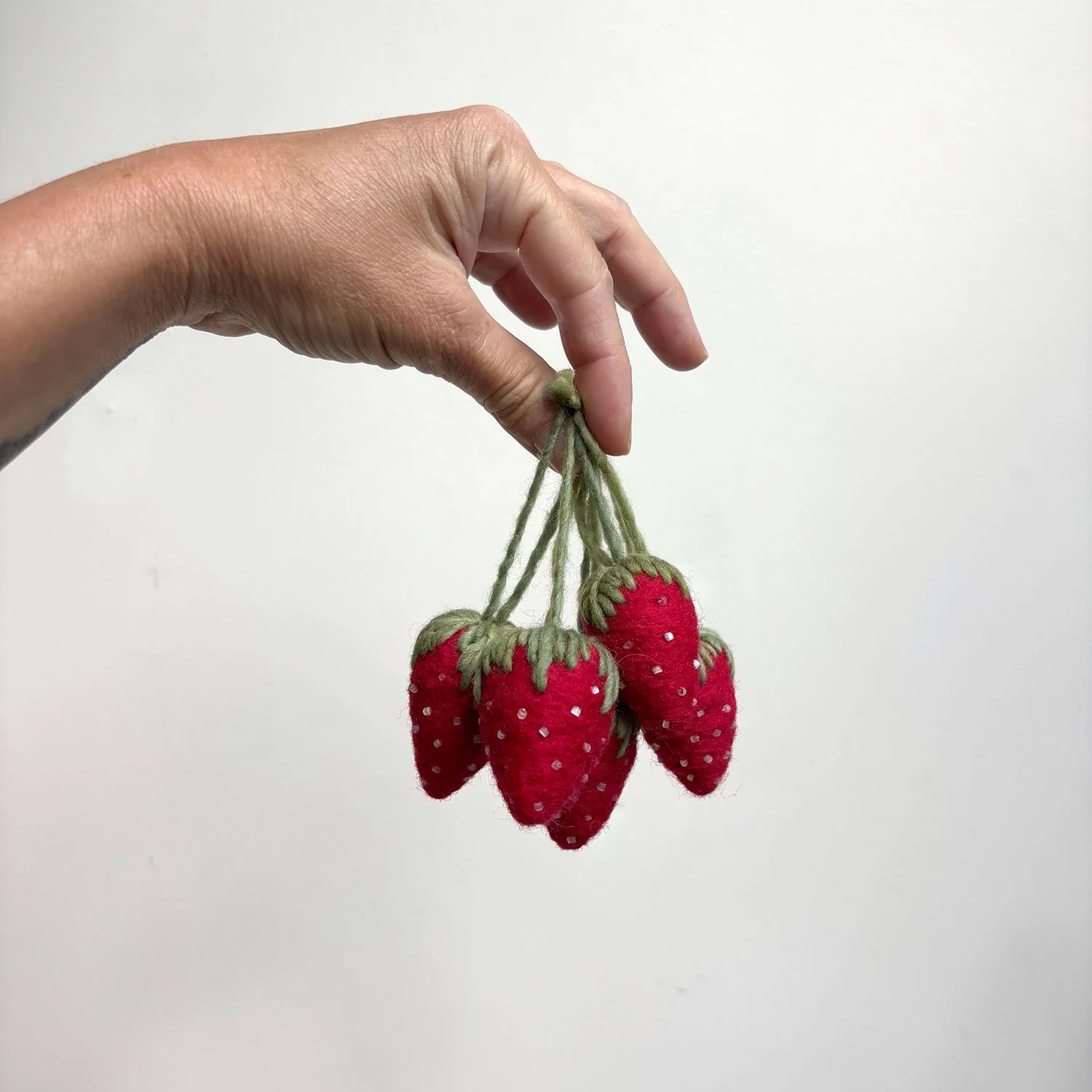 Thirdlee_Strawberries_726_3.jpg