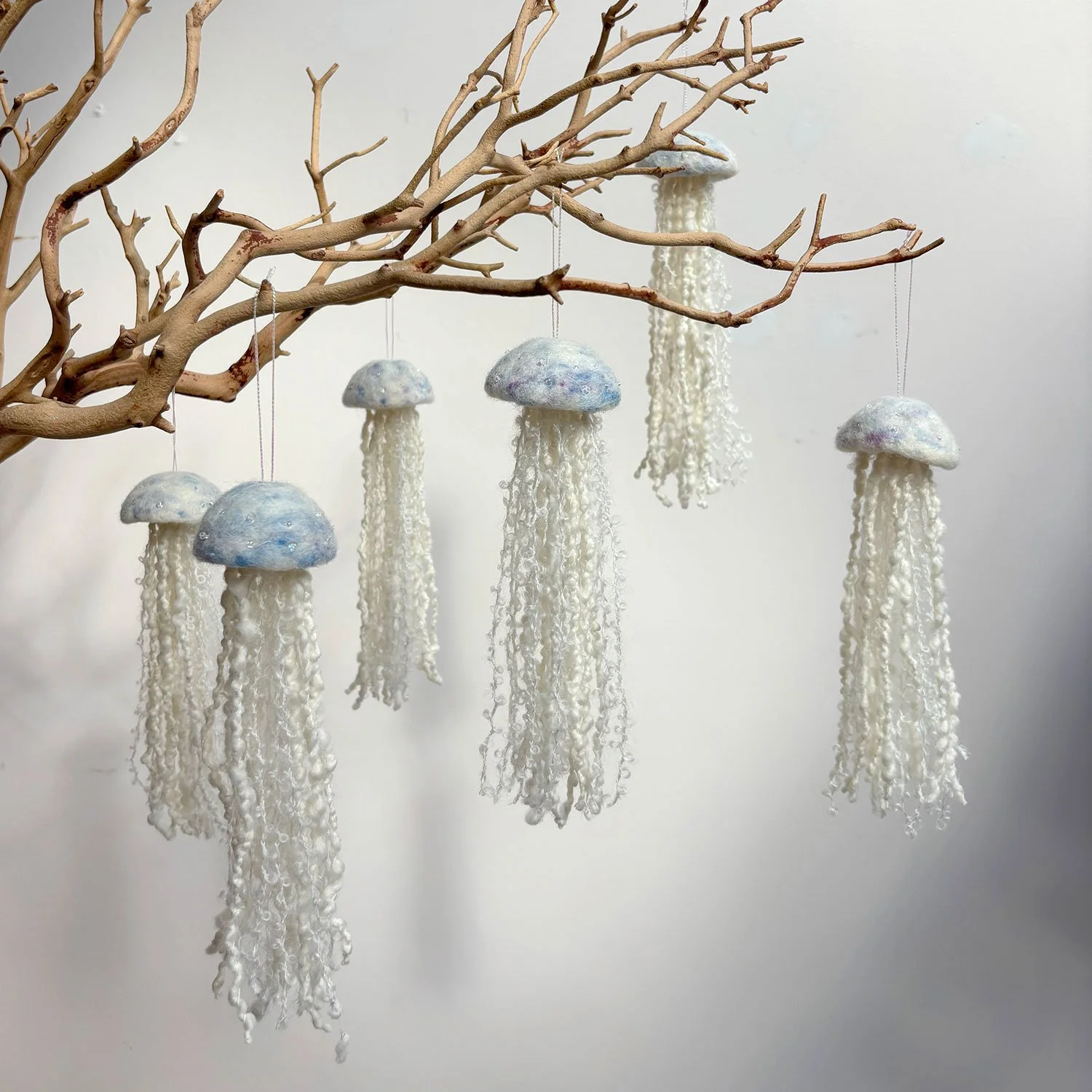 Thirdlee_Jellies_726.jpg
