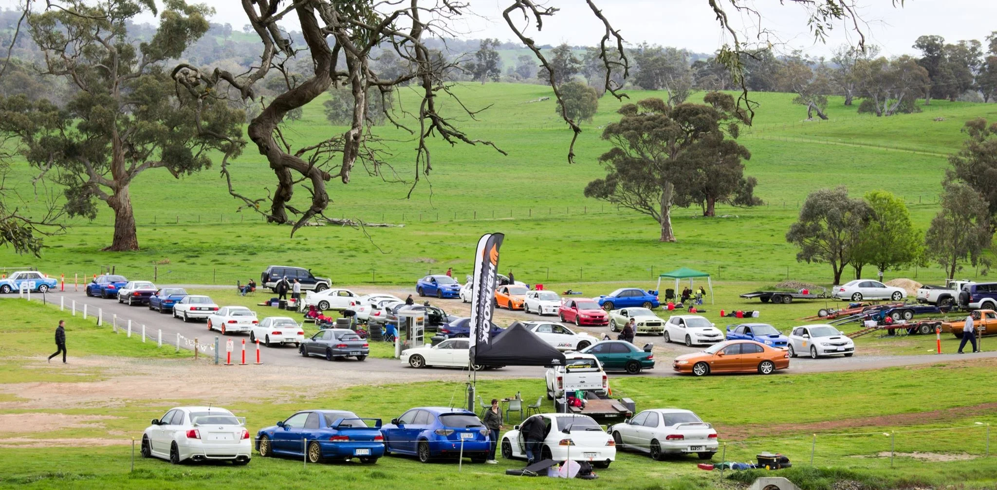 Photo by Damien McGinn