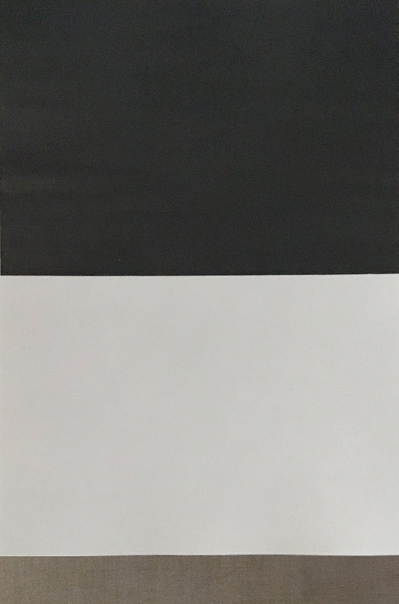 EIDETIC SERIES A (oil on linen 48" X 72')