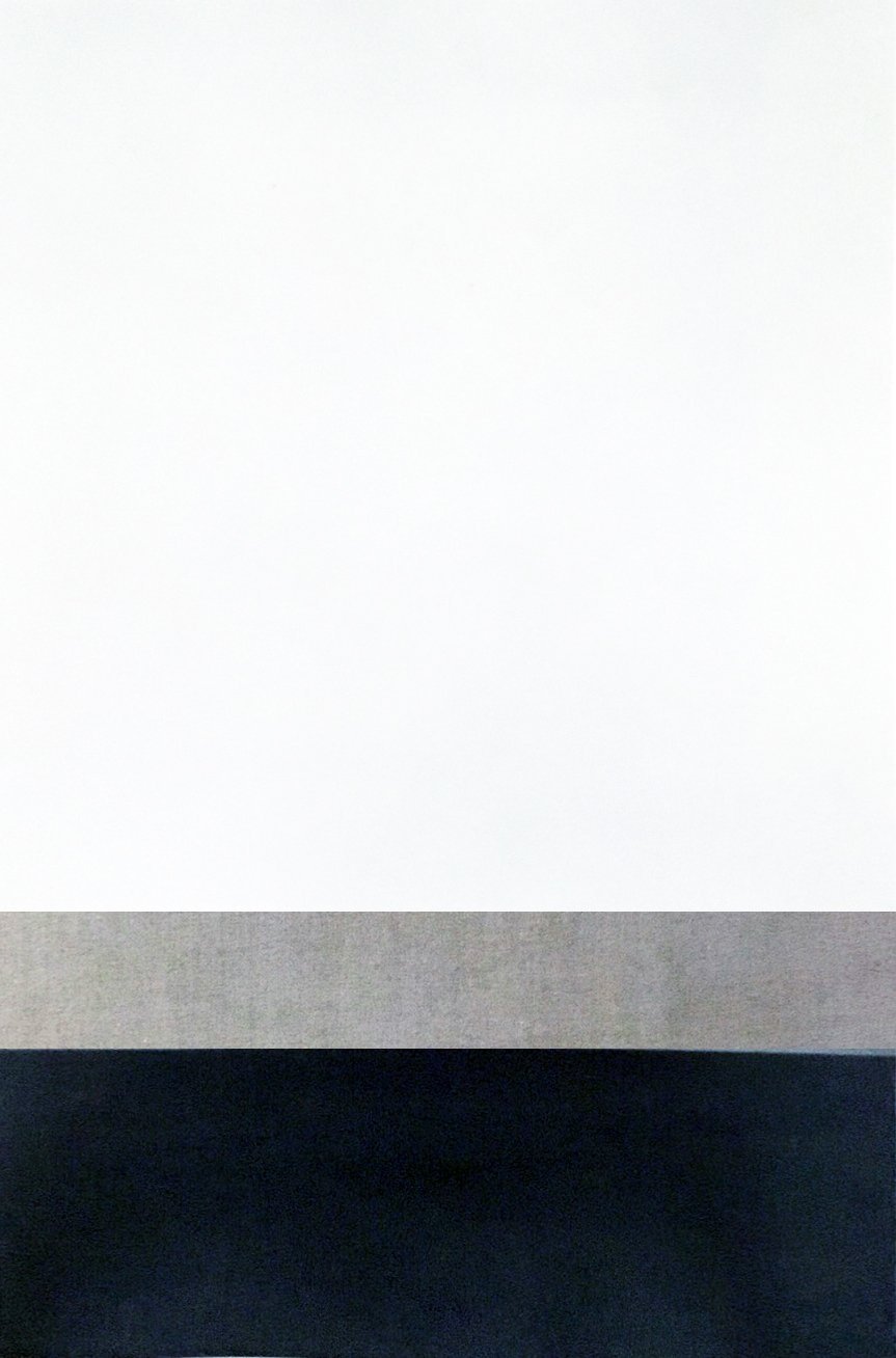 EIDETIC SERIES E (oil and pigment on linen 72" X 48")