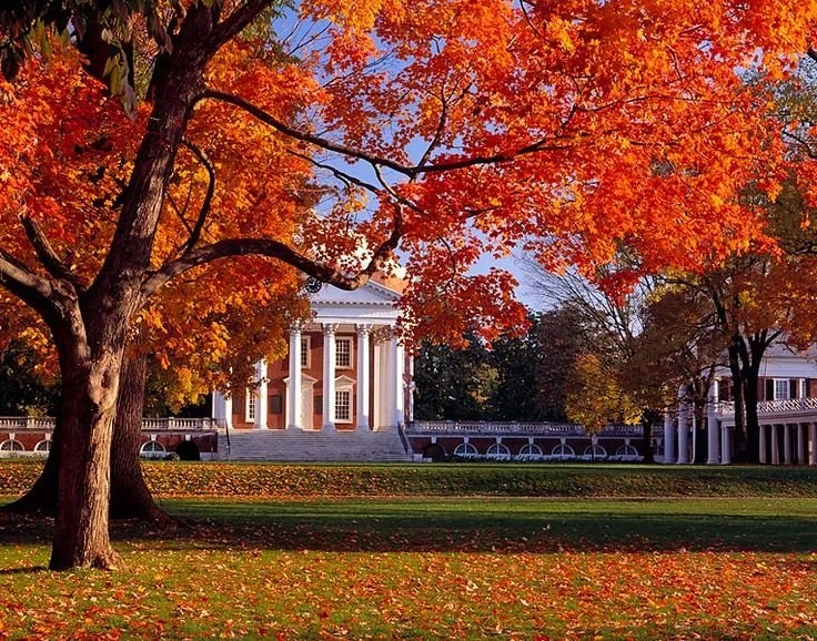 03161badcb9d572bec5bfb9ed8c46ef3--college-campus-college-life.jpg