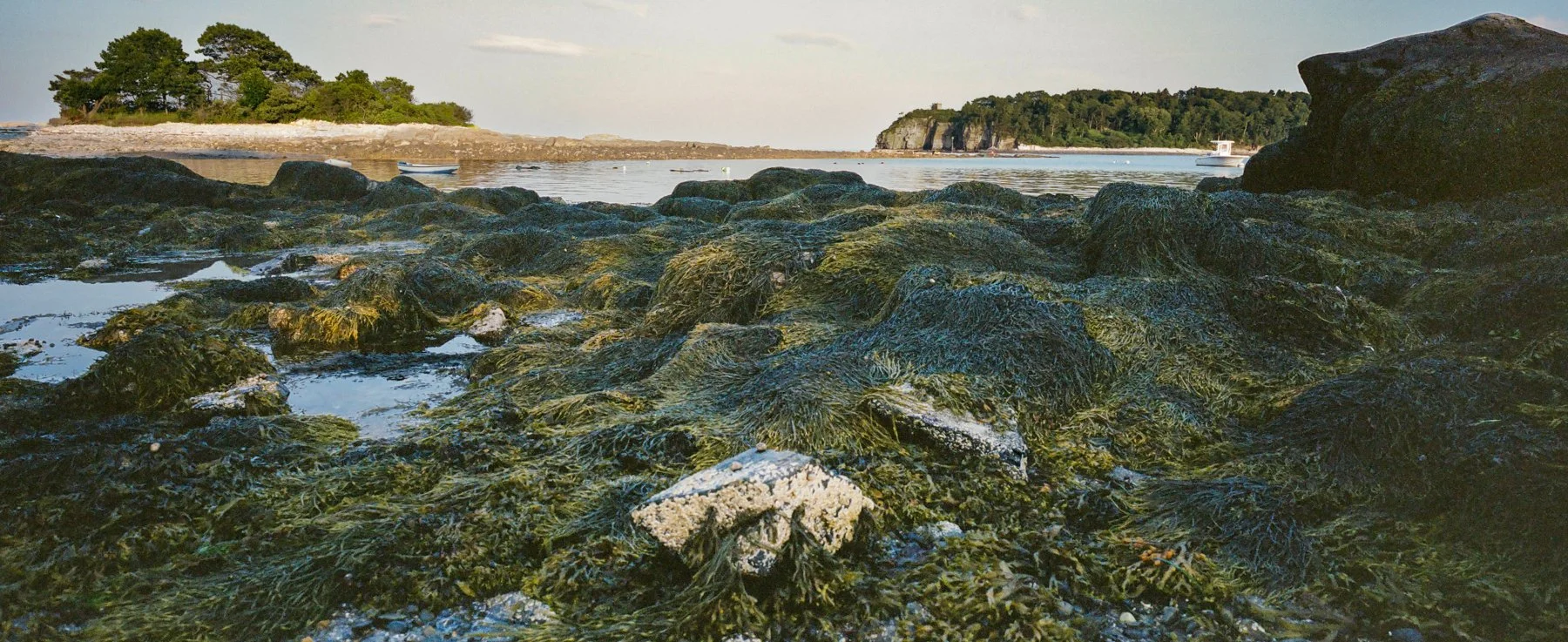 Behind the Cover of Peaks Island, Maine