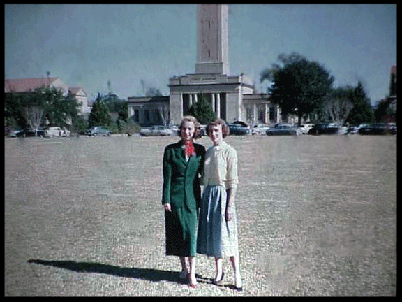 Florida State Amend & Skogstad