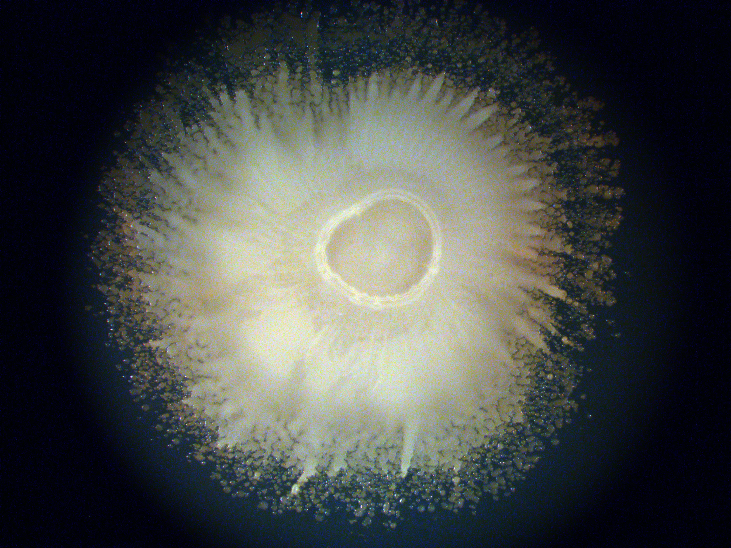 image18.jpg