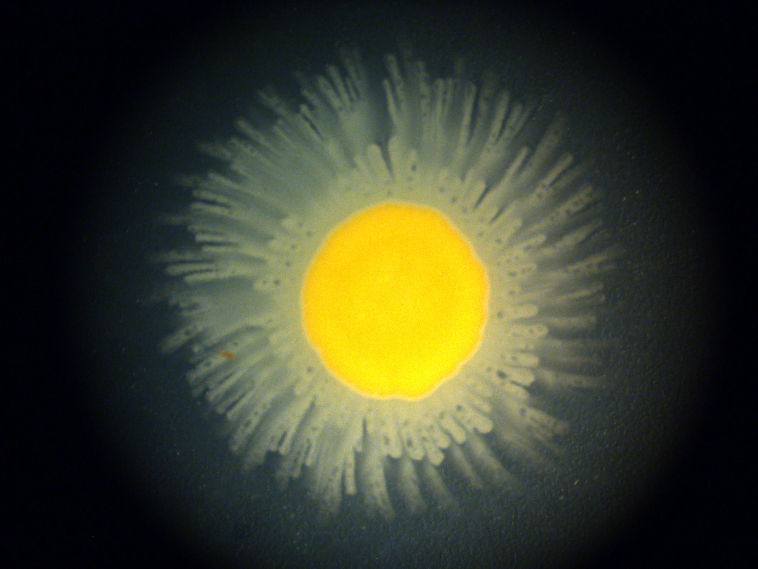 image3.jpg