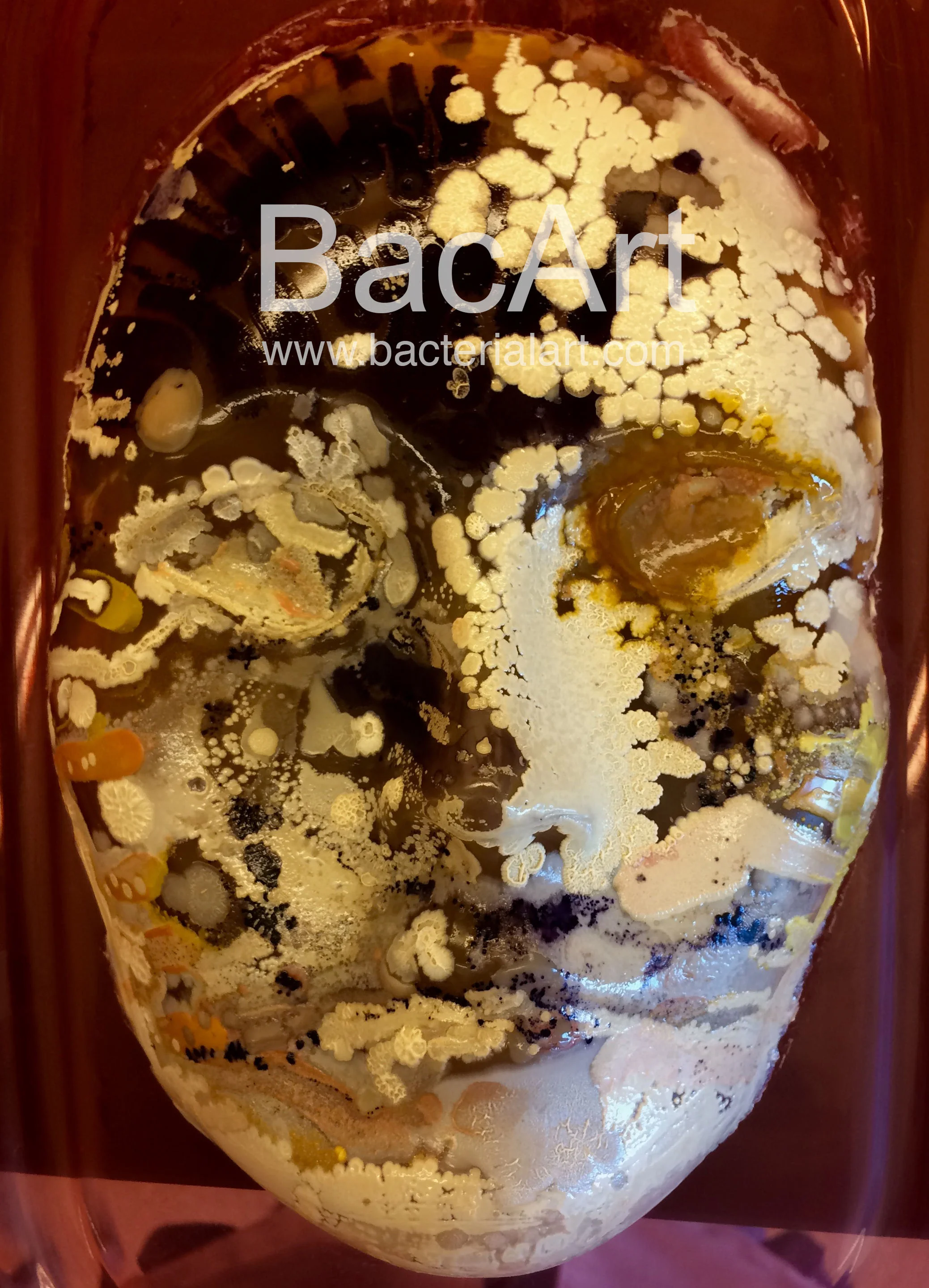 Mask2.BacArt.jpg