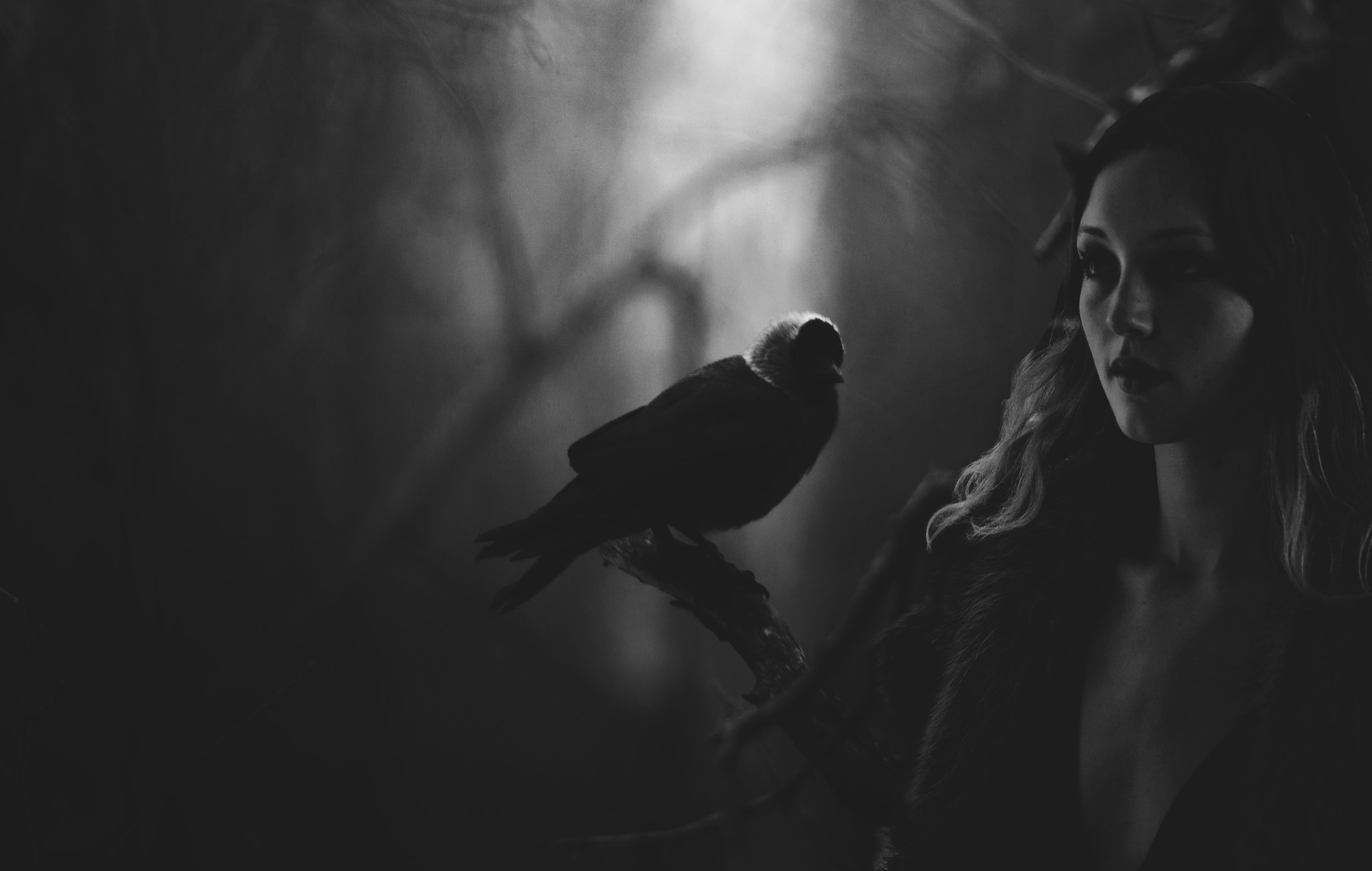 "Some day you will be old enough to start reading fairy tales again." — C.S. Lewis