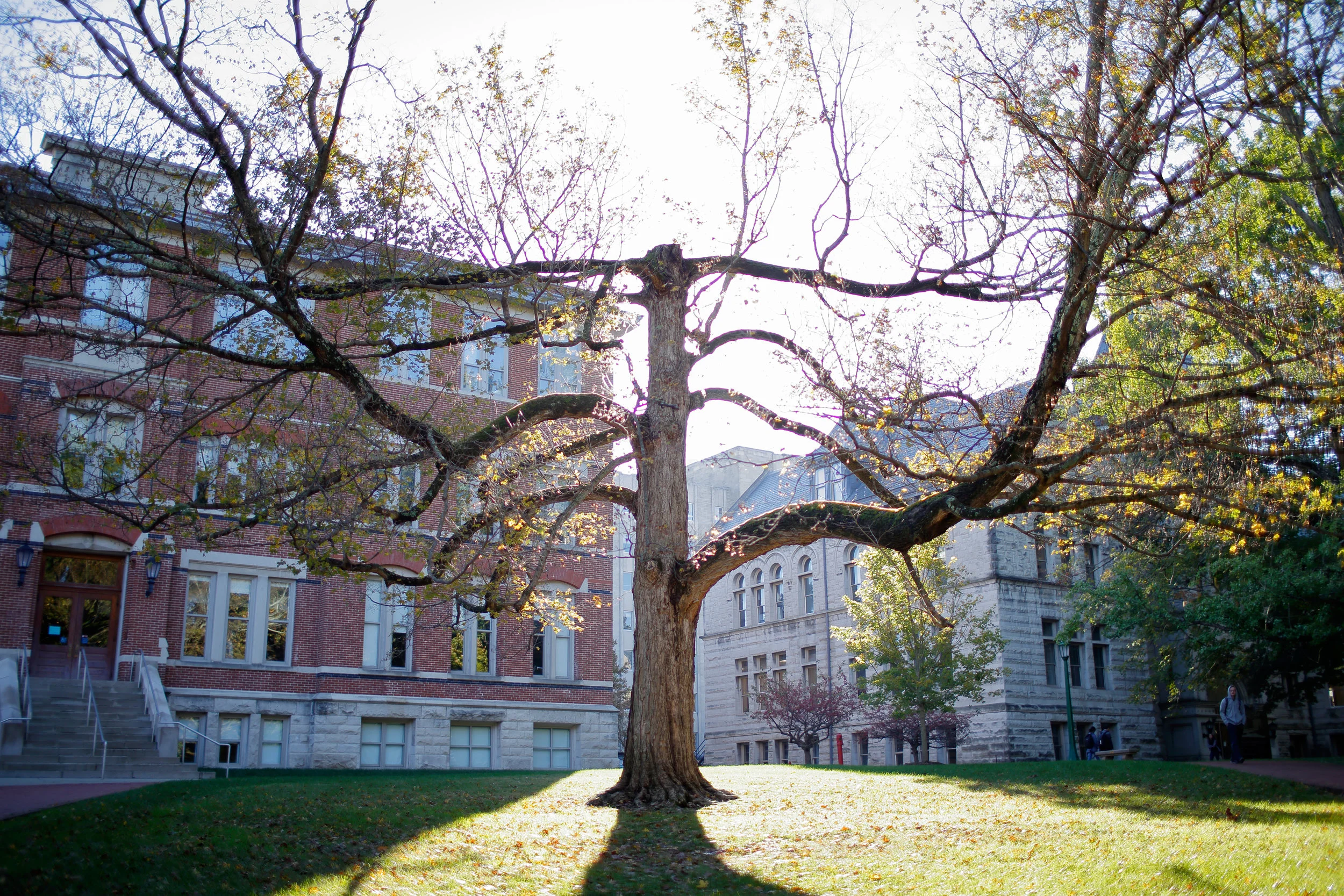 20161021_FallCampusBeauty_ER_017.JPG