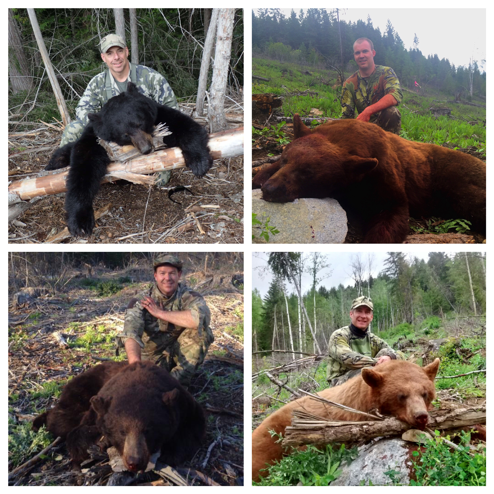 NE Washington State- Spring Bear, 2016