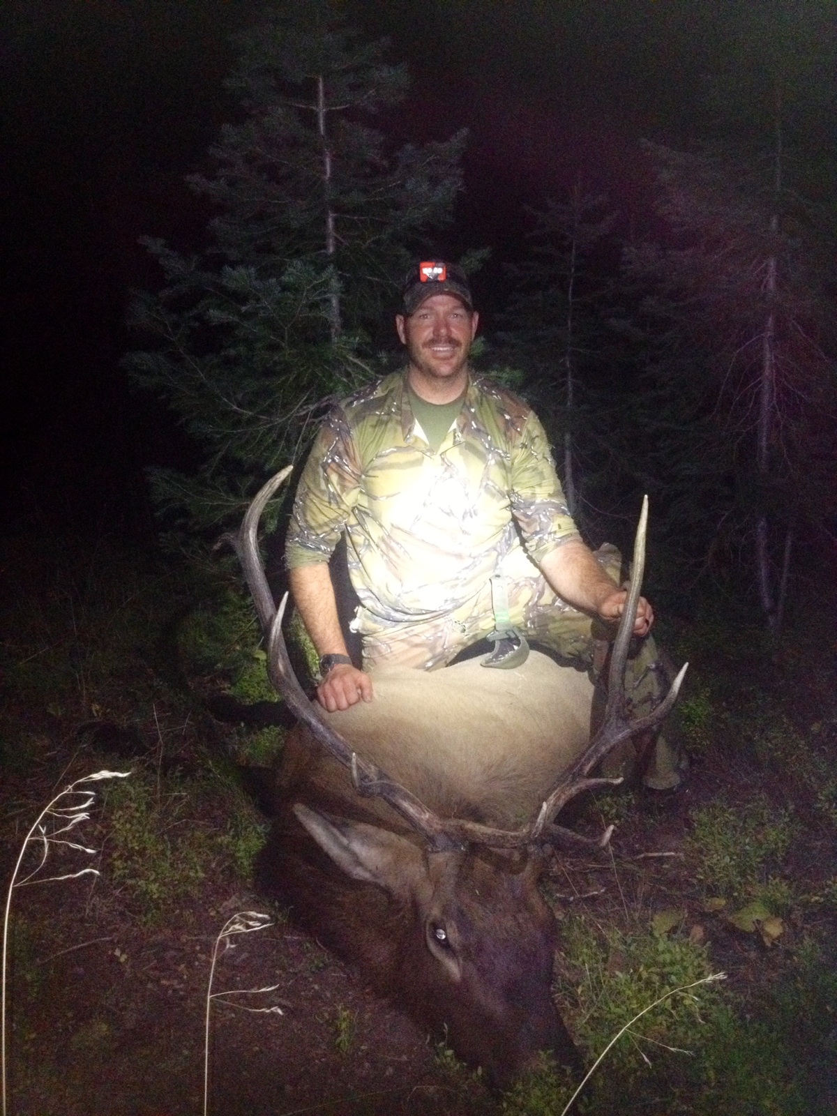 Wyoming- Elk, 2014