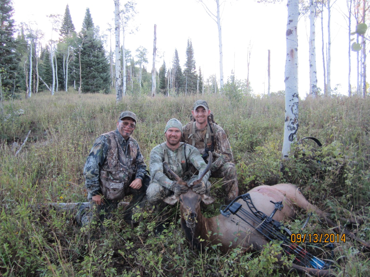 Wyoming- Elk, 2014