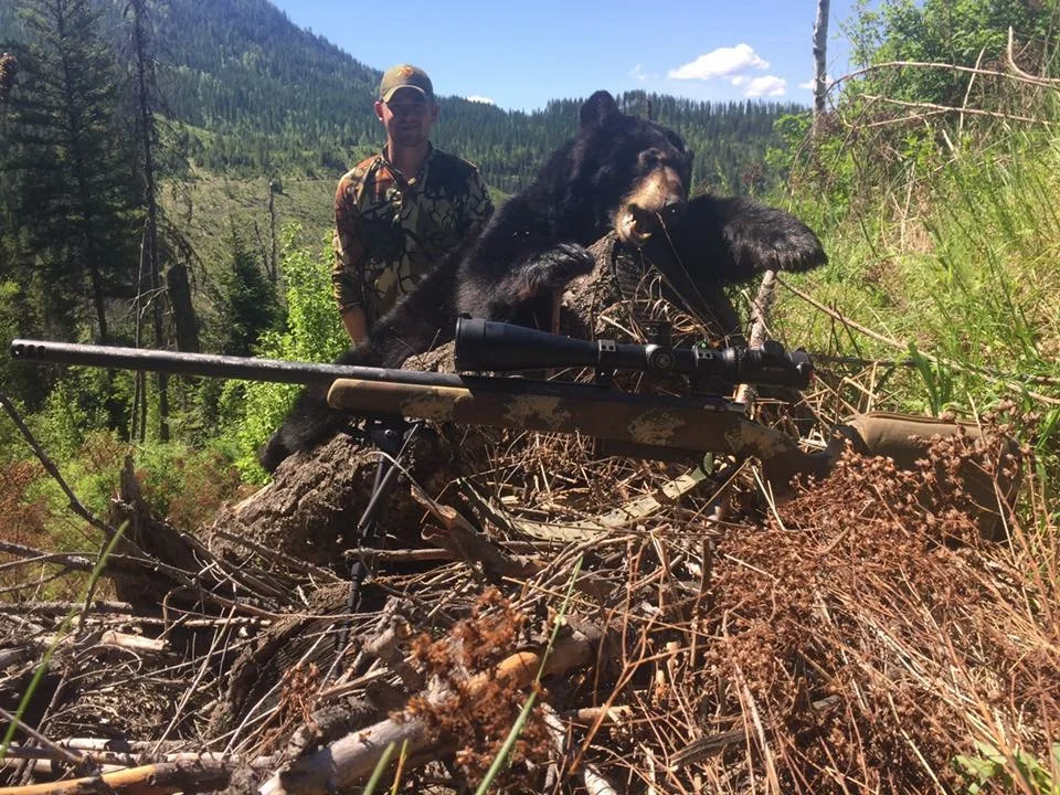 Washington State- Spring Bear, 2017 616 yards, Custom .338 Norma Mag