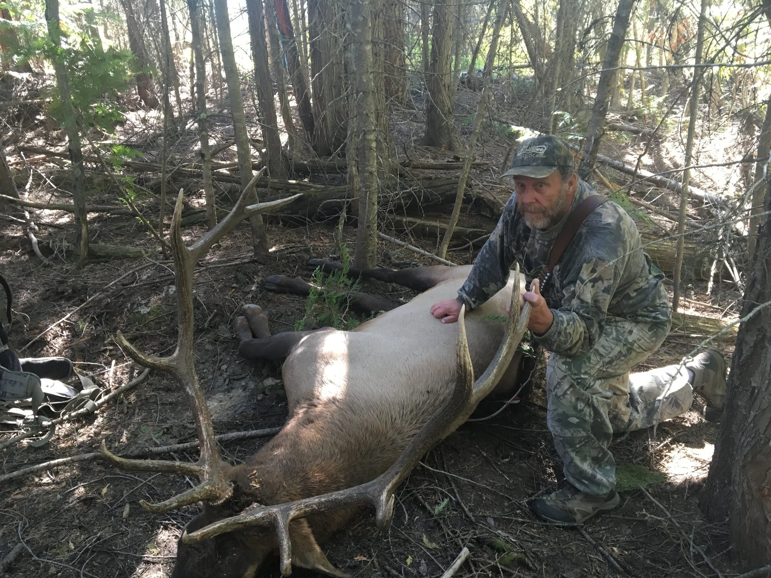 Washington State- Elk, 2016
