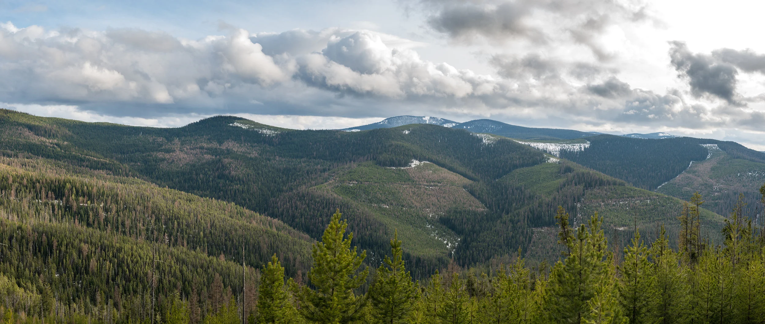 scenery website.jpg