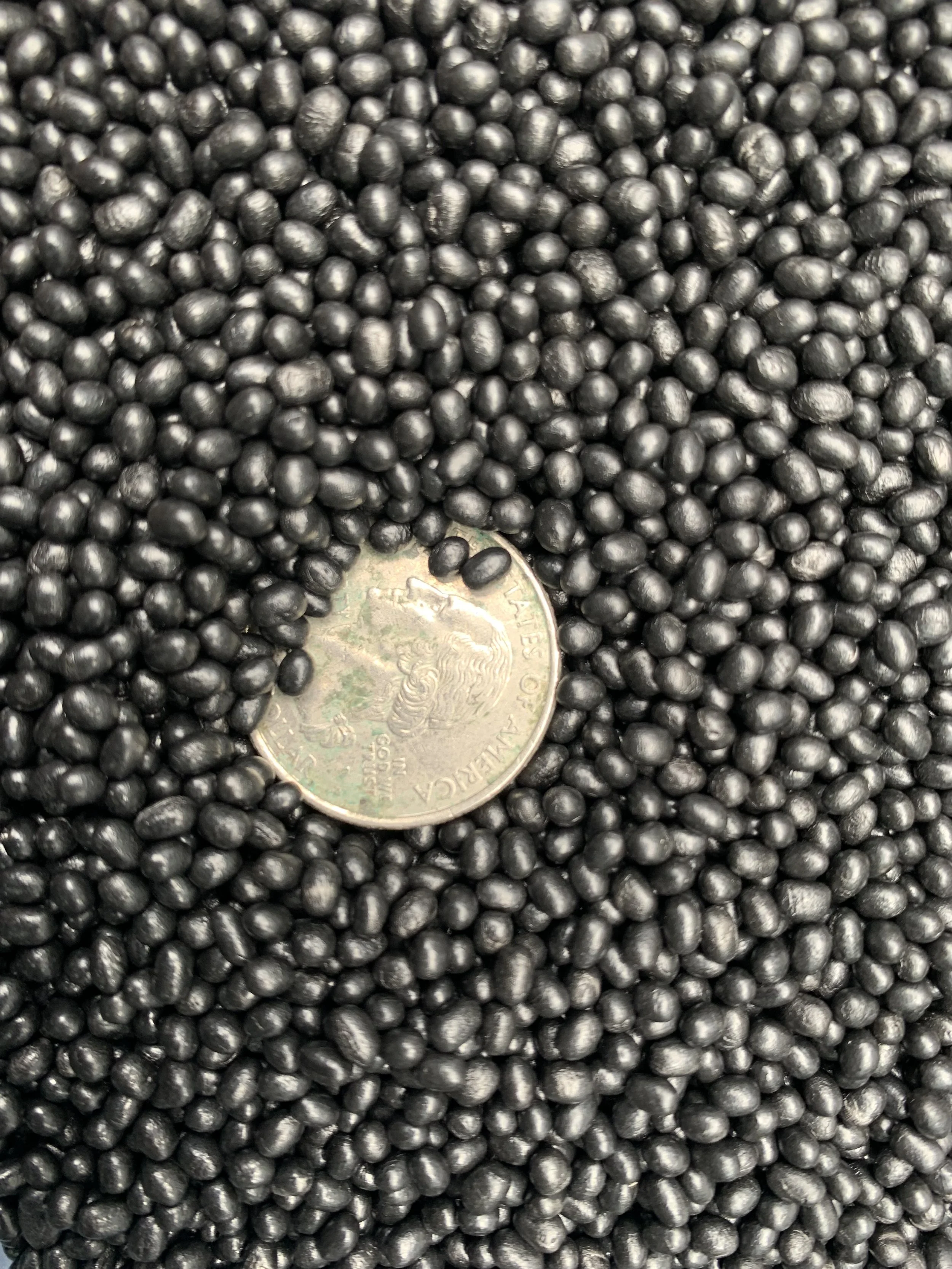 5064 coin.jpg