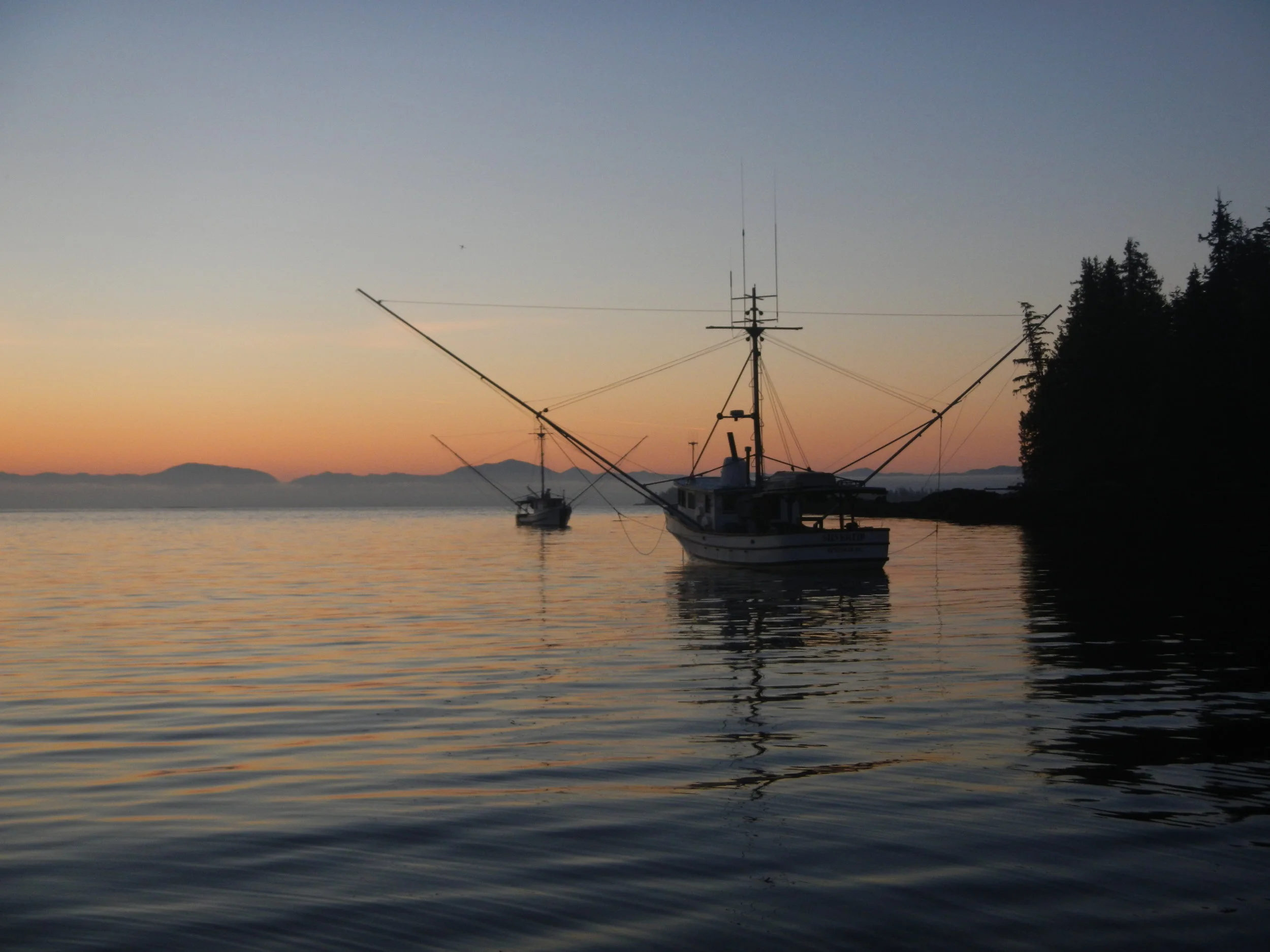 DSCN0487.JPG