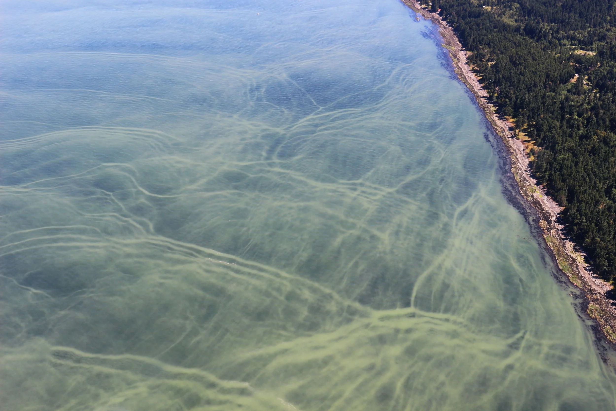 Aerial Mixing Water.JPG