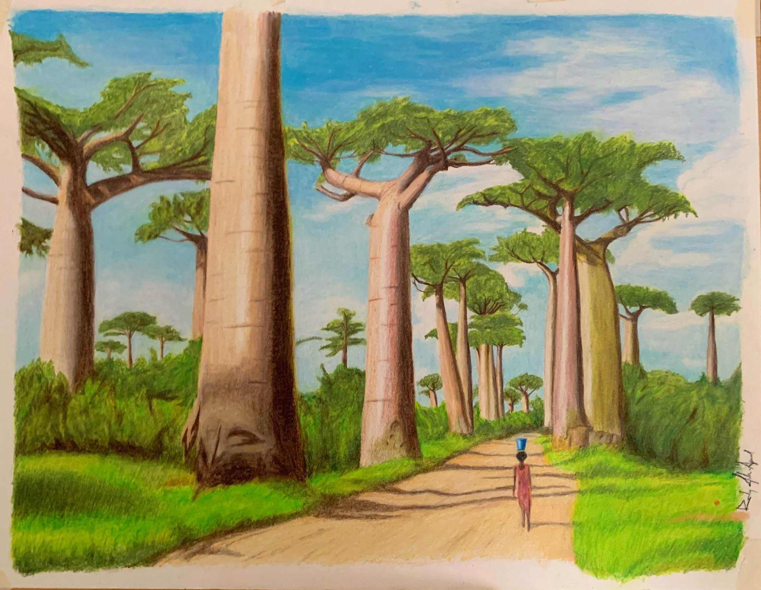 Baobabs