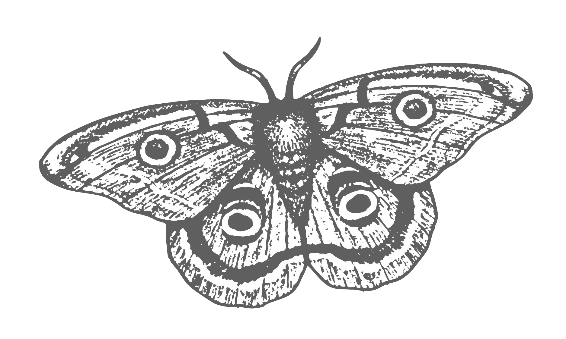 Smoke & Mirrors Logo Final - just moth (1).png