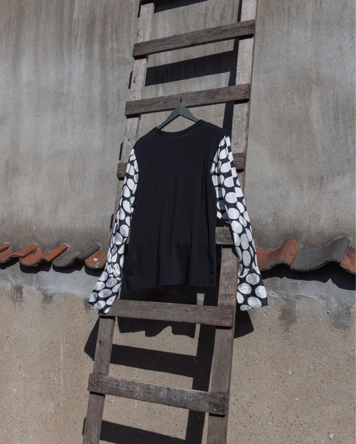 DRIES.jpg