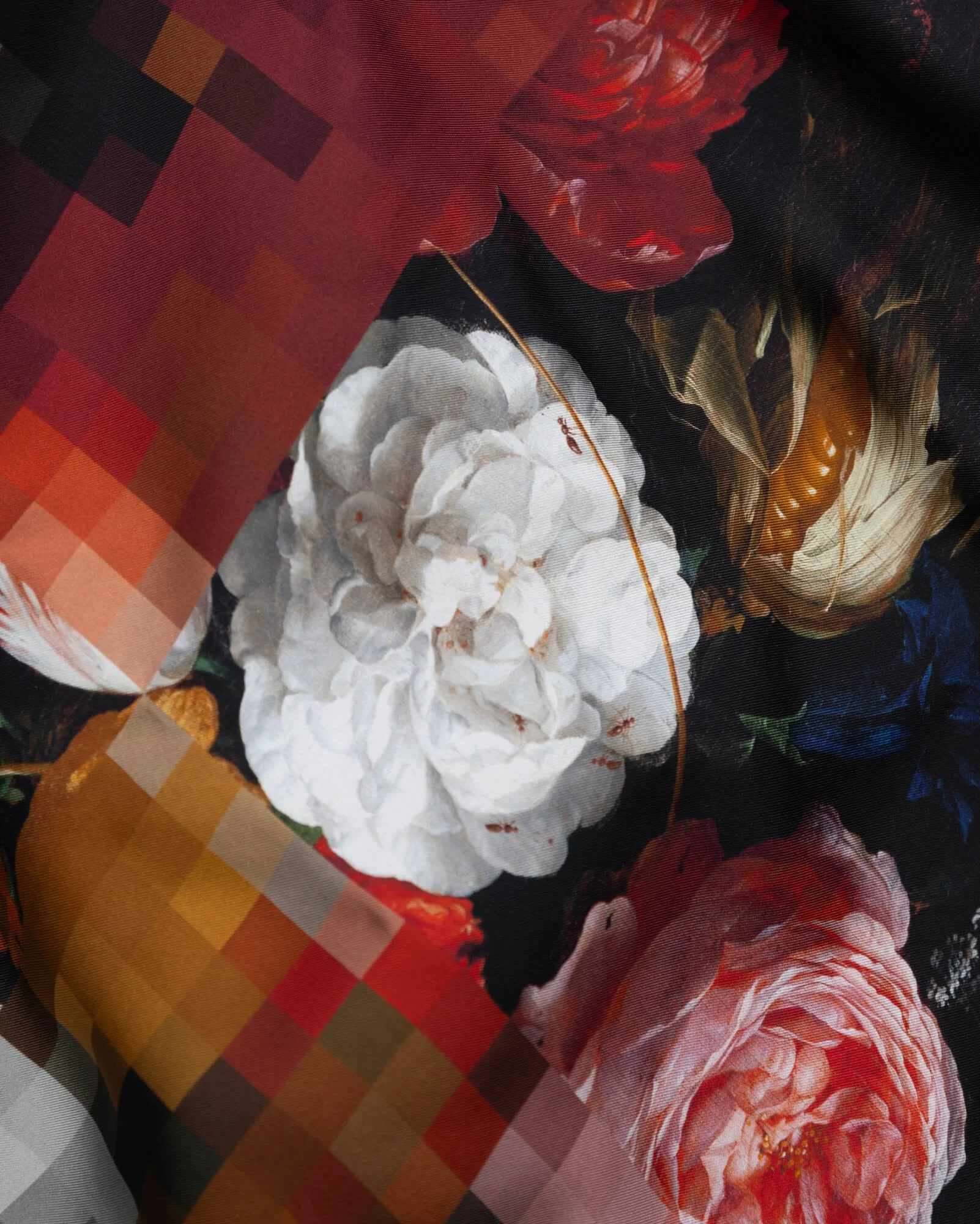 DRIES-2.jpg