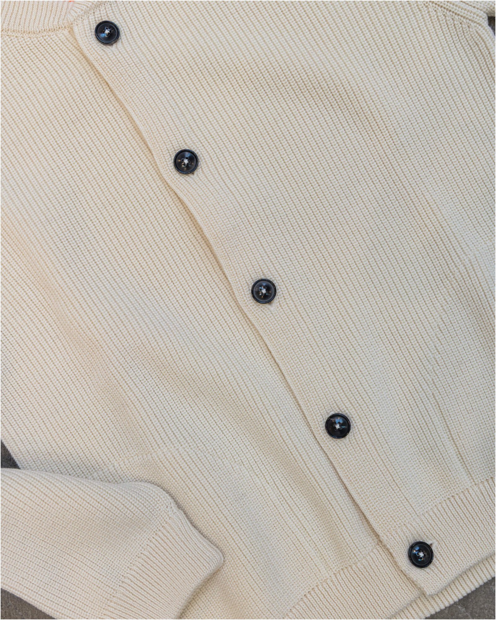 DRIES-3.jpg