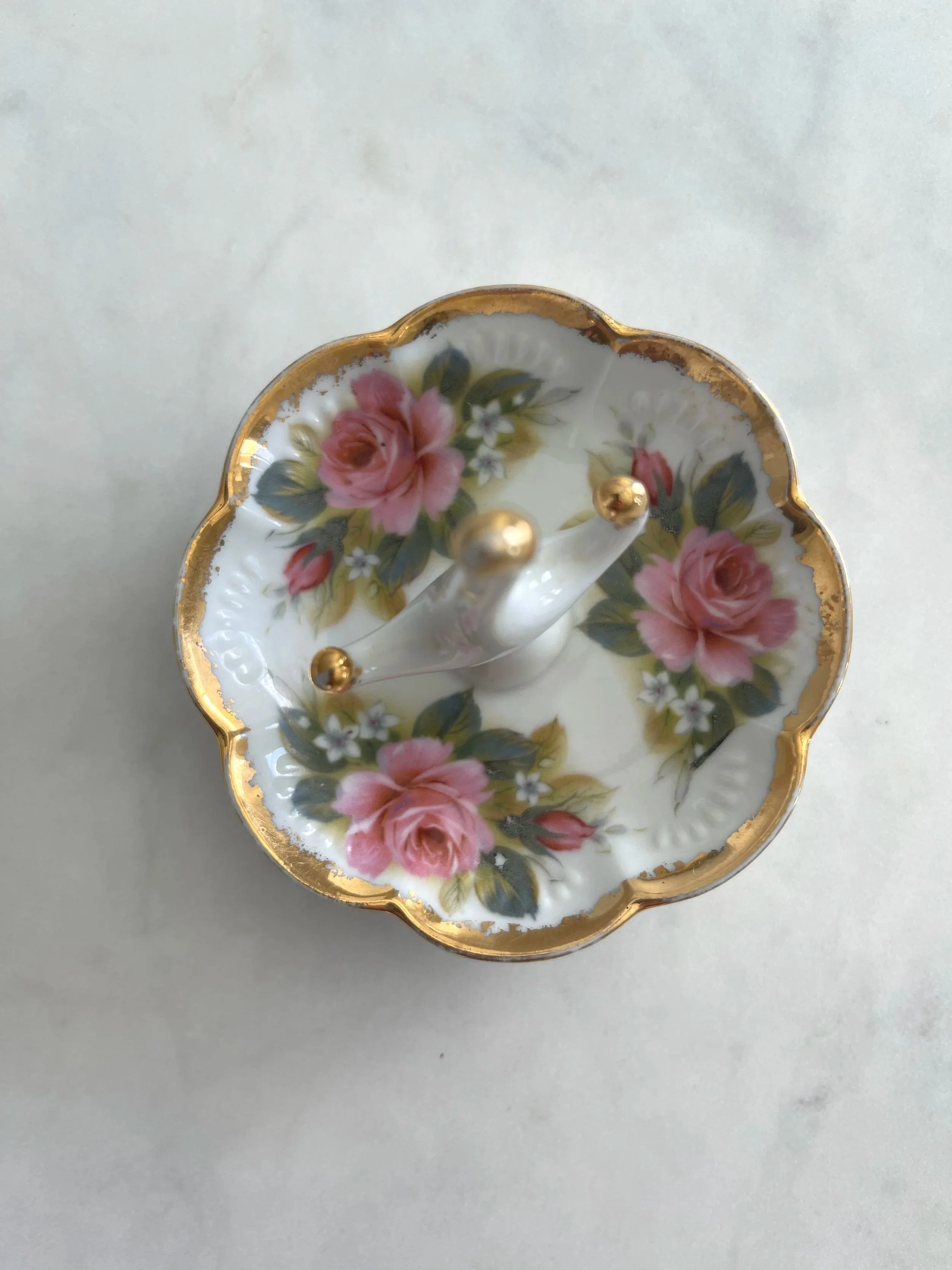 ringdish5.jpg