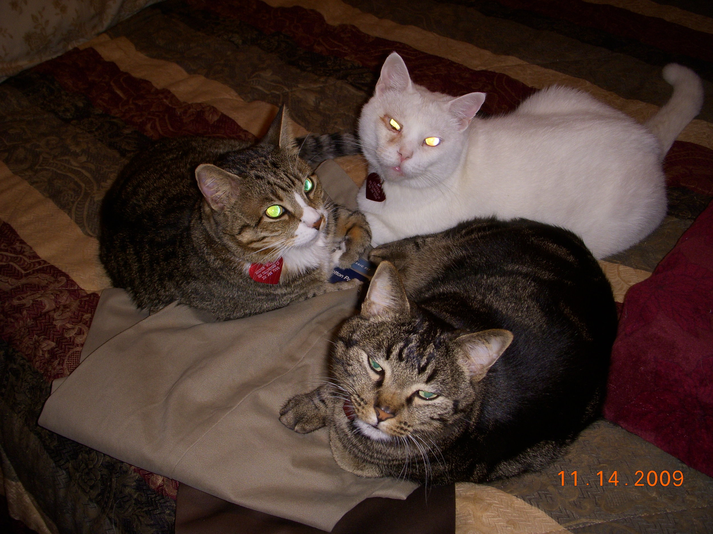 DSCN0267.jpg