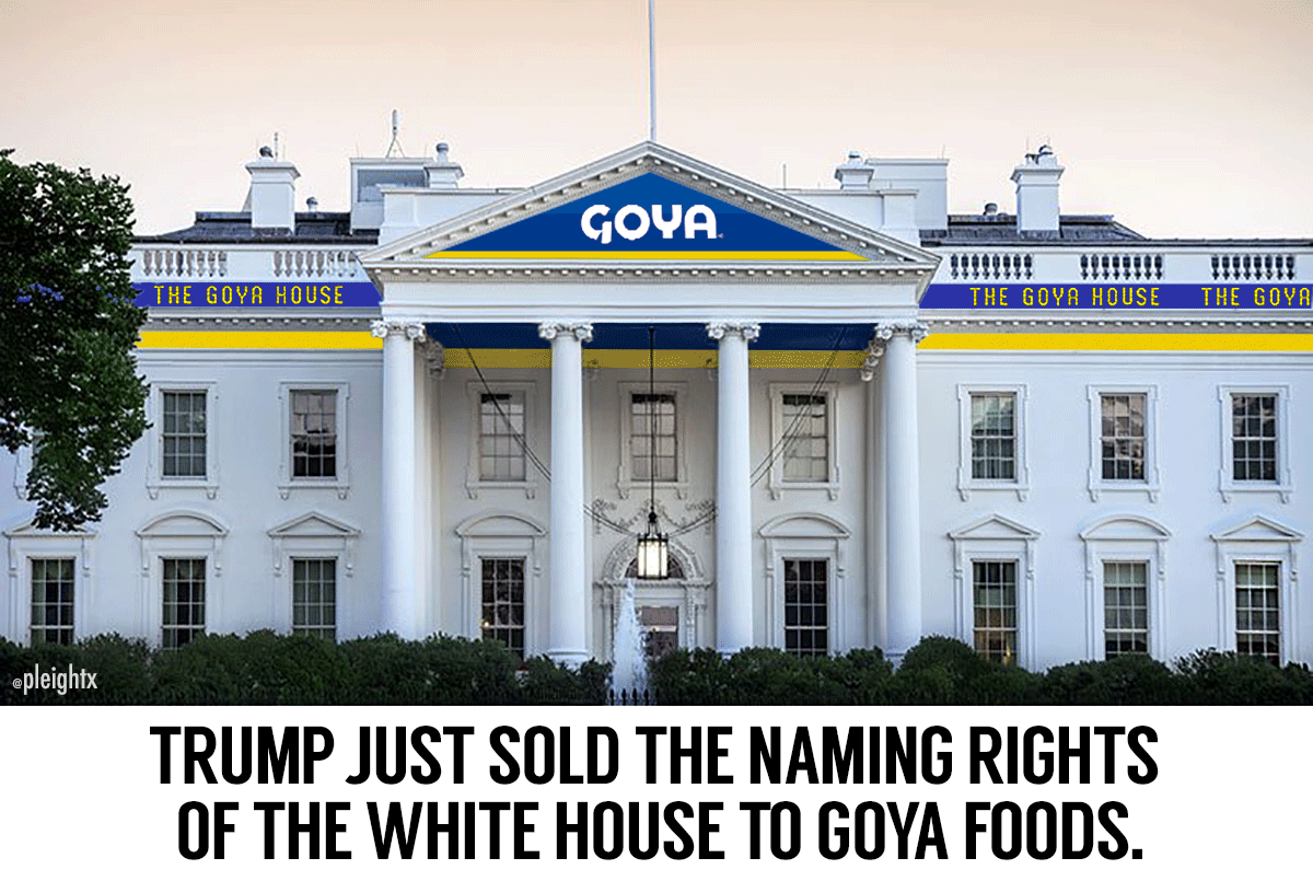 GOYA-animate.gif