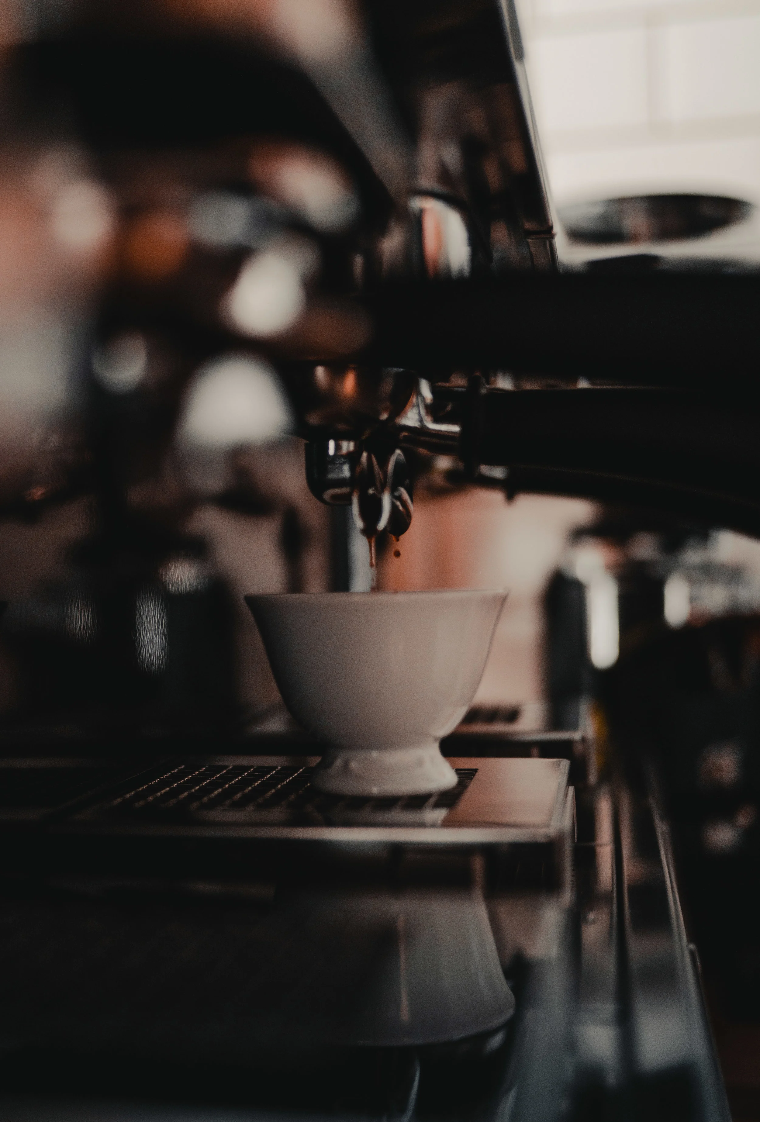 @danmagatti_true_coffee_inc-06700.jpg