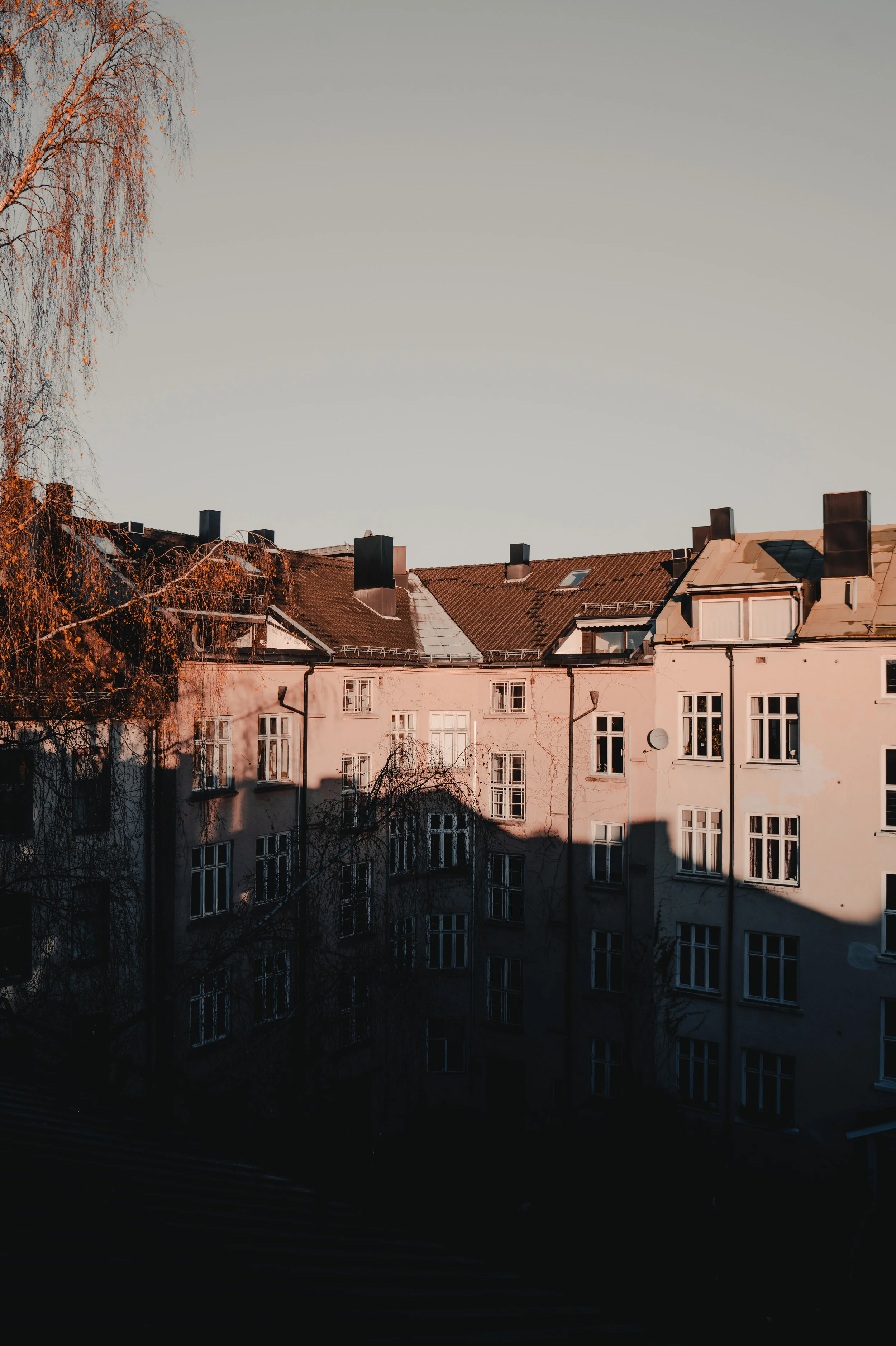 @danmagatti_scandinavia_awake_preset_2019-02426.jpg