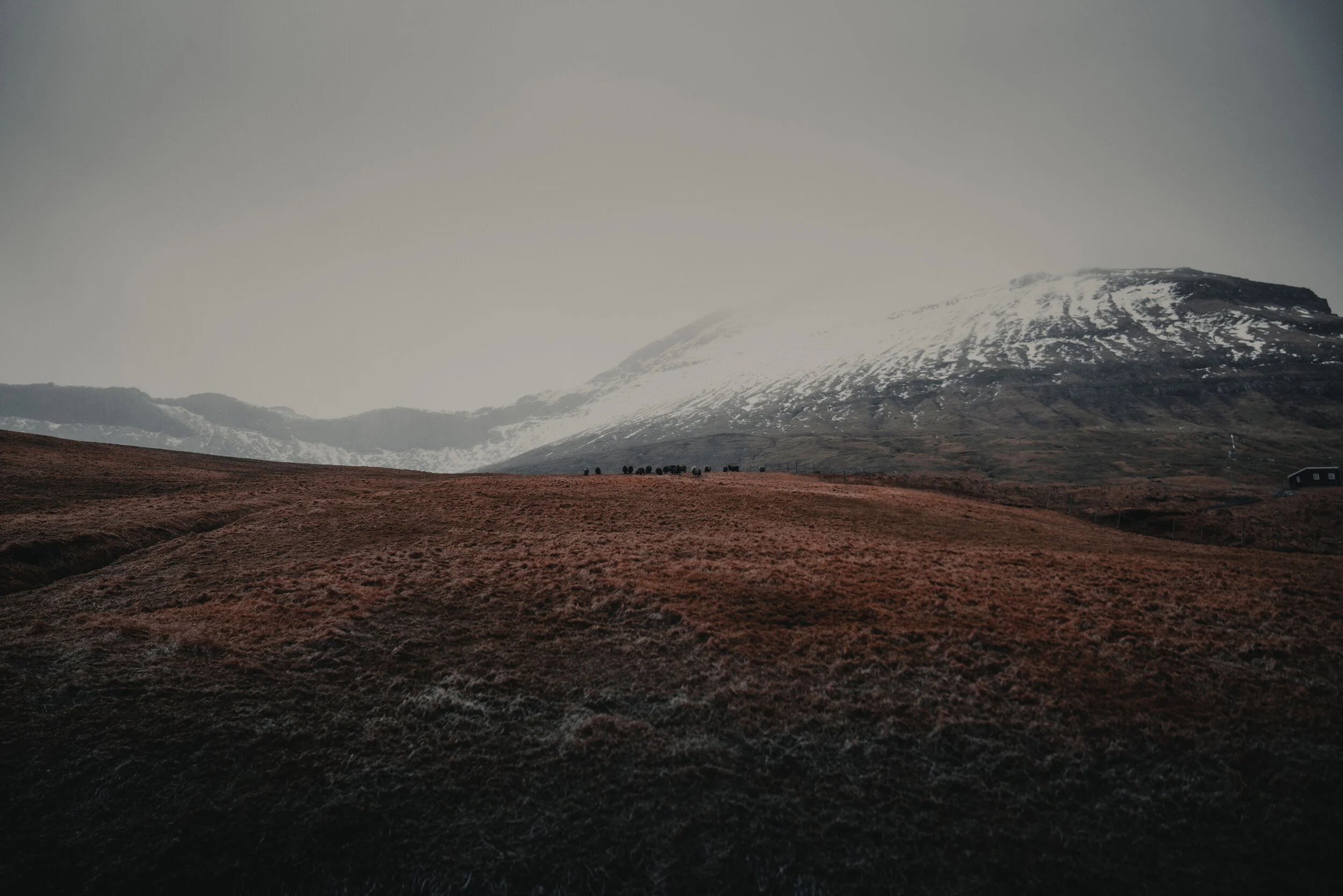 @danmagatti_faroe_islands_awake_preset-50.jpg
