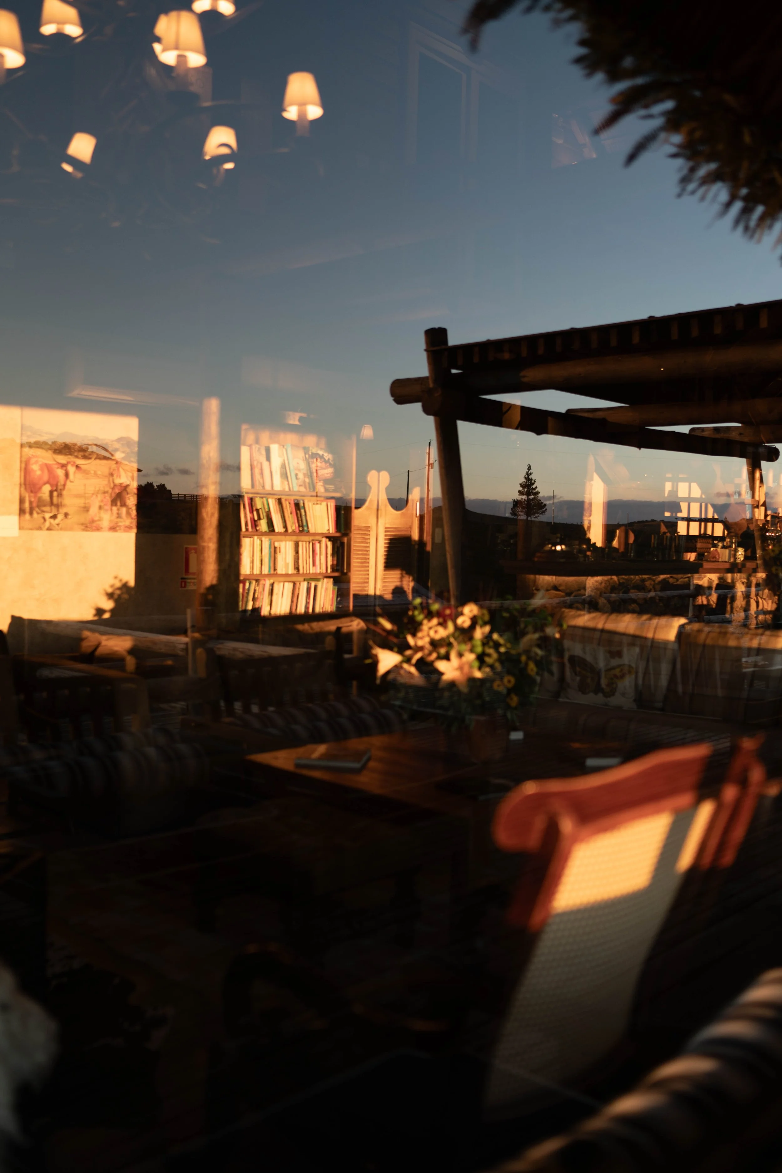 Reflection of a room interior on a glass window showing a bookshelf filled with books, wall art, and outdoor scenery with trees and a sunset sky.