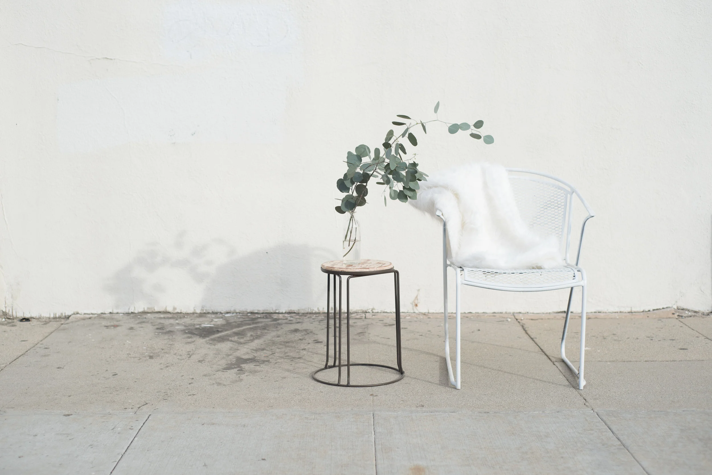 TwigyPosts WinterWhite Collection-47.jpg