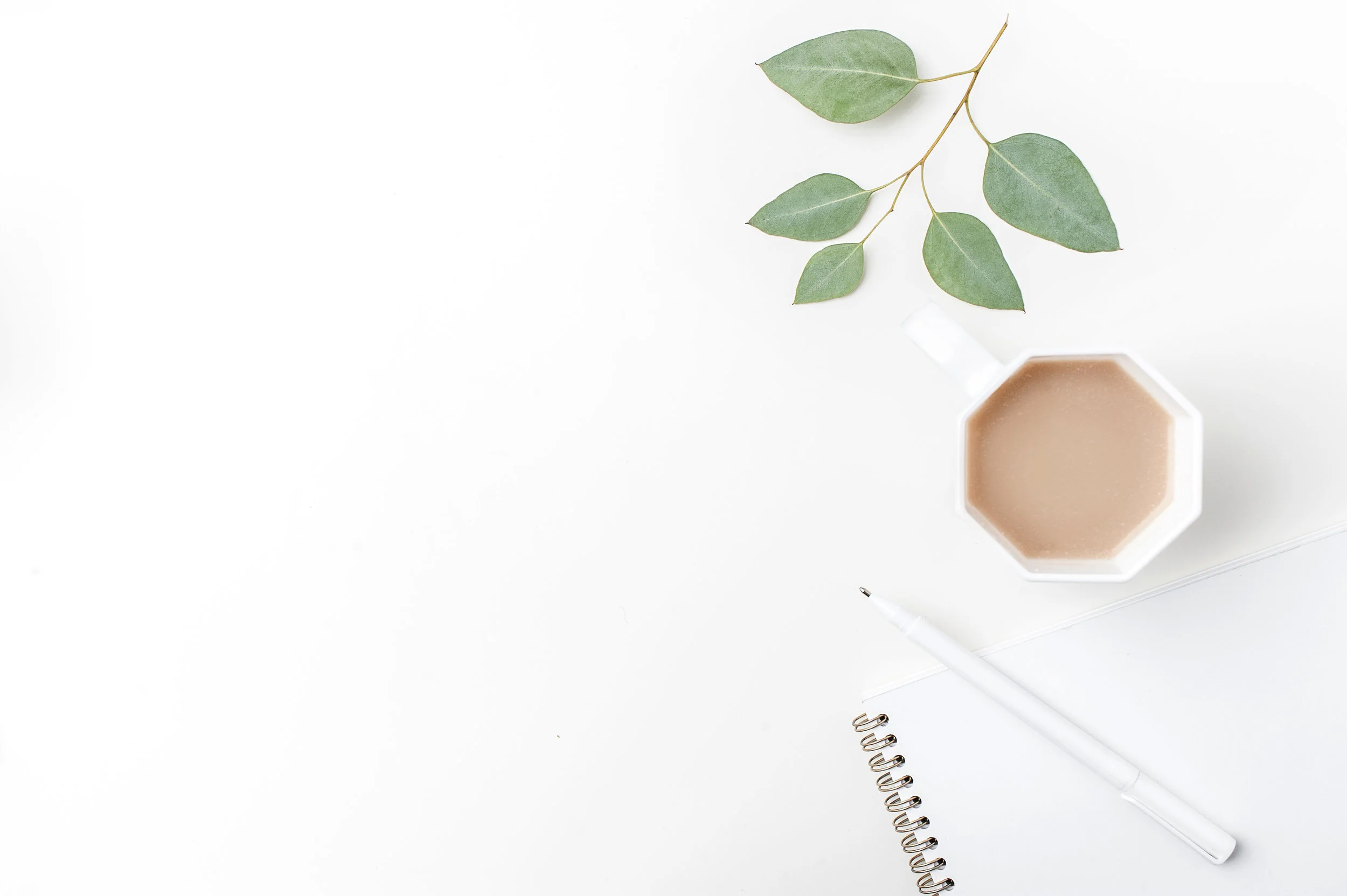 Coffee Twigs Notebook.jpg