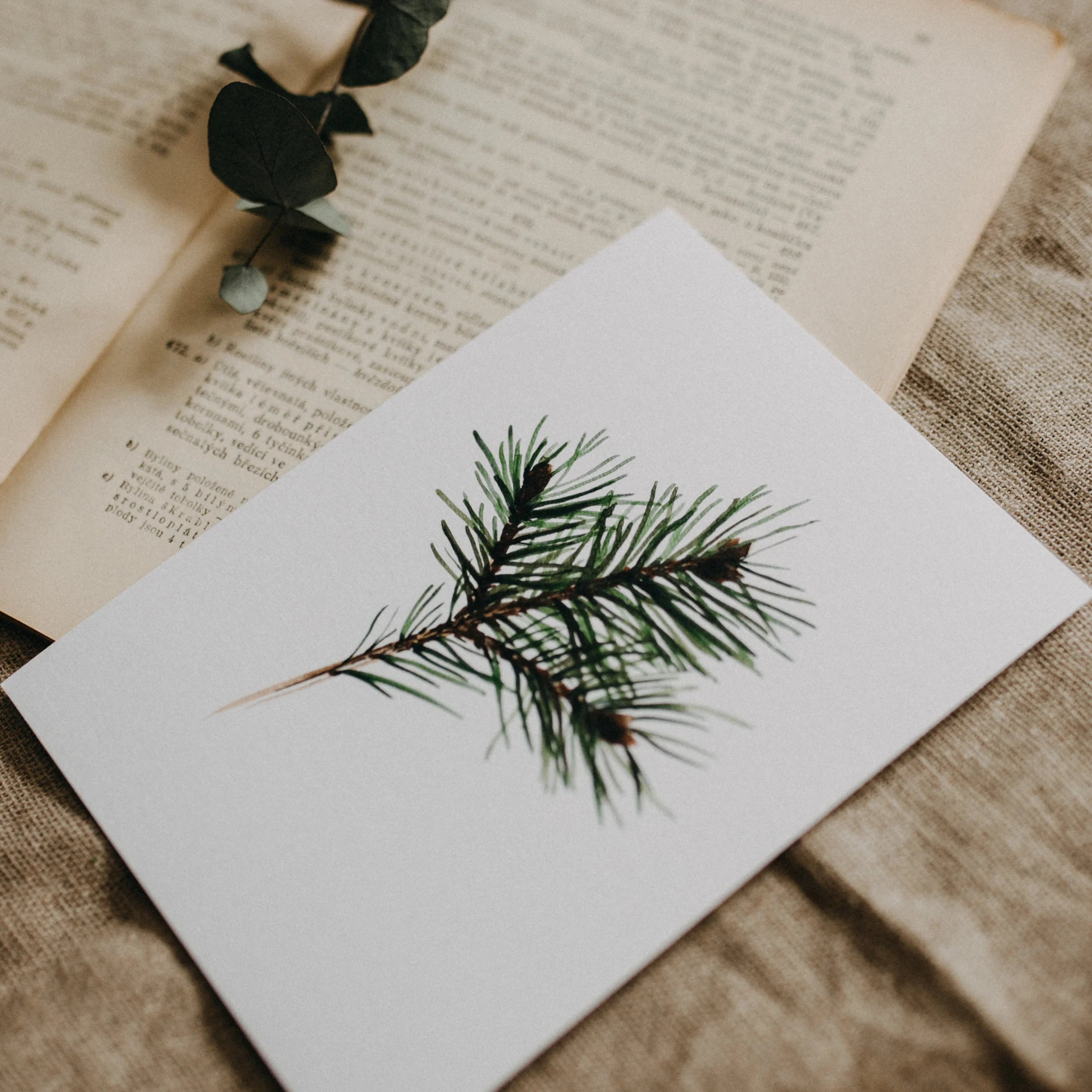 watercolor-print-14.jpg