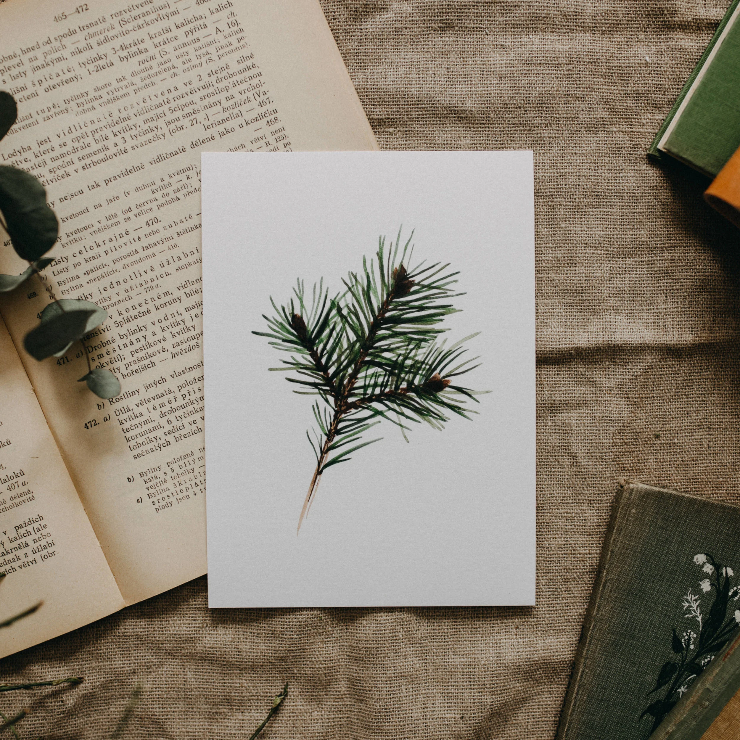 watercolor-print-13.jpg