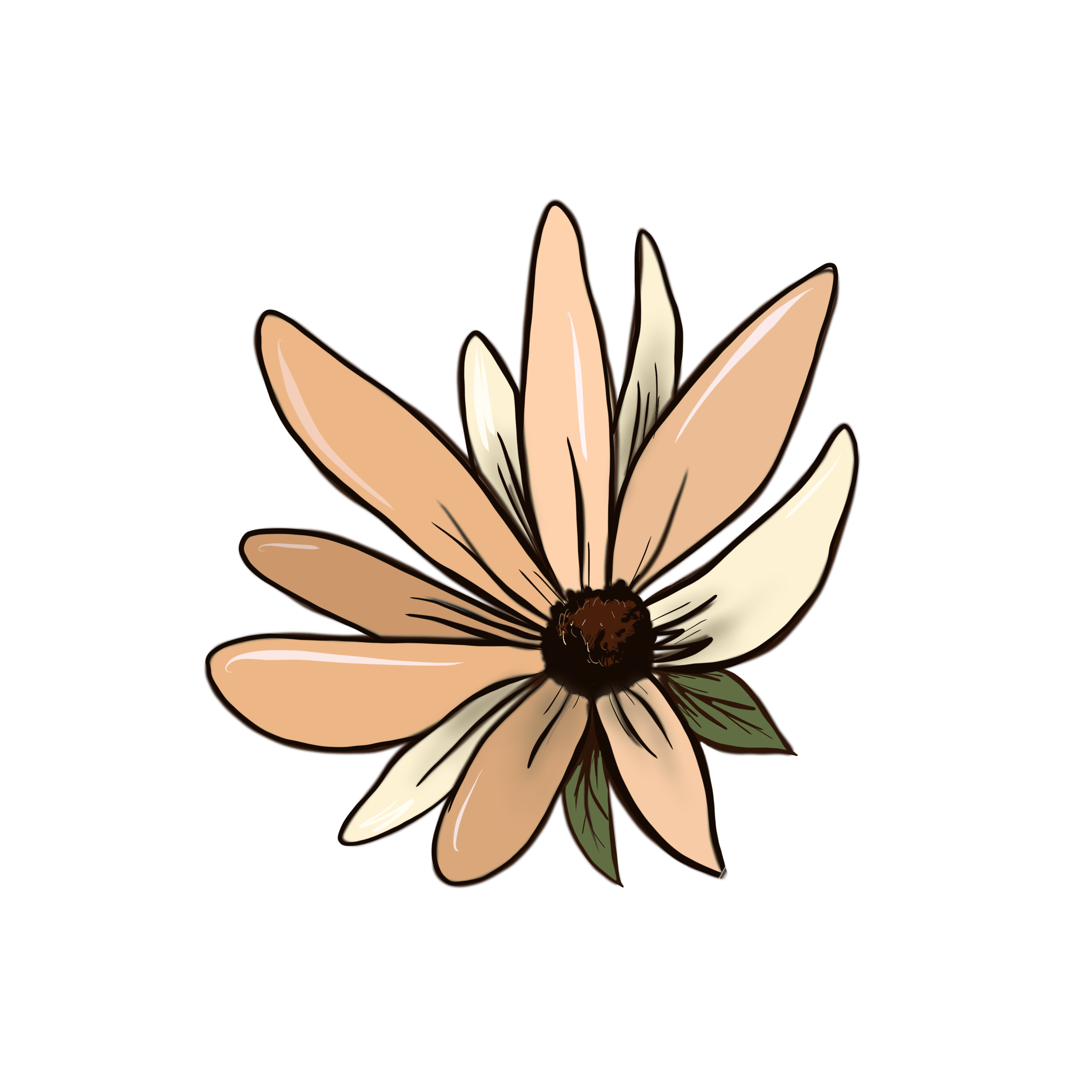 Untitled_Artwork.png