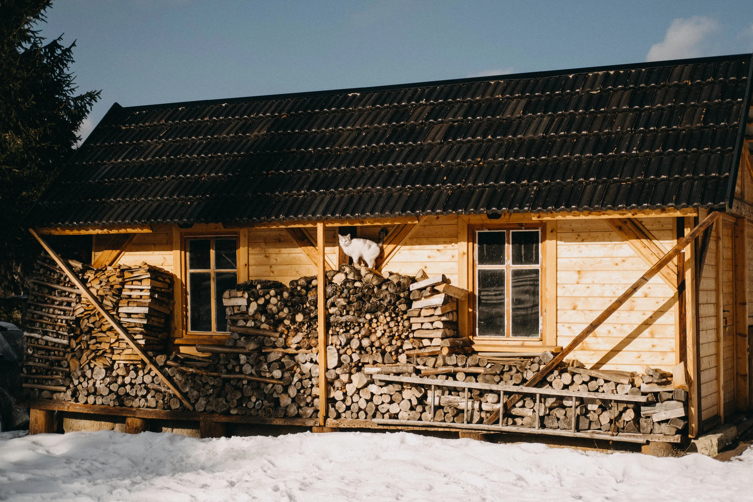 cabin-51.jpg