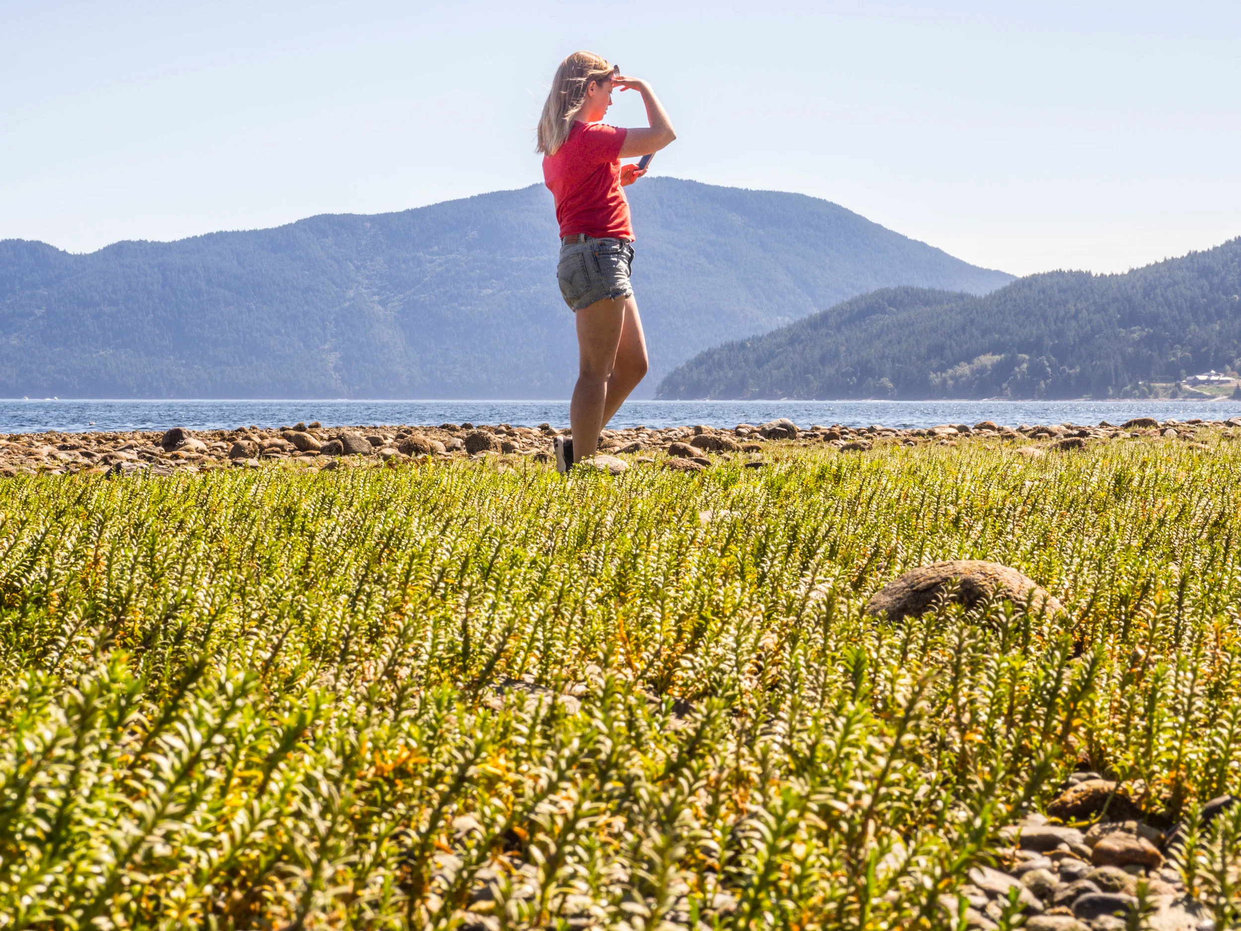 Camp Sunrise | Gibsons, BC