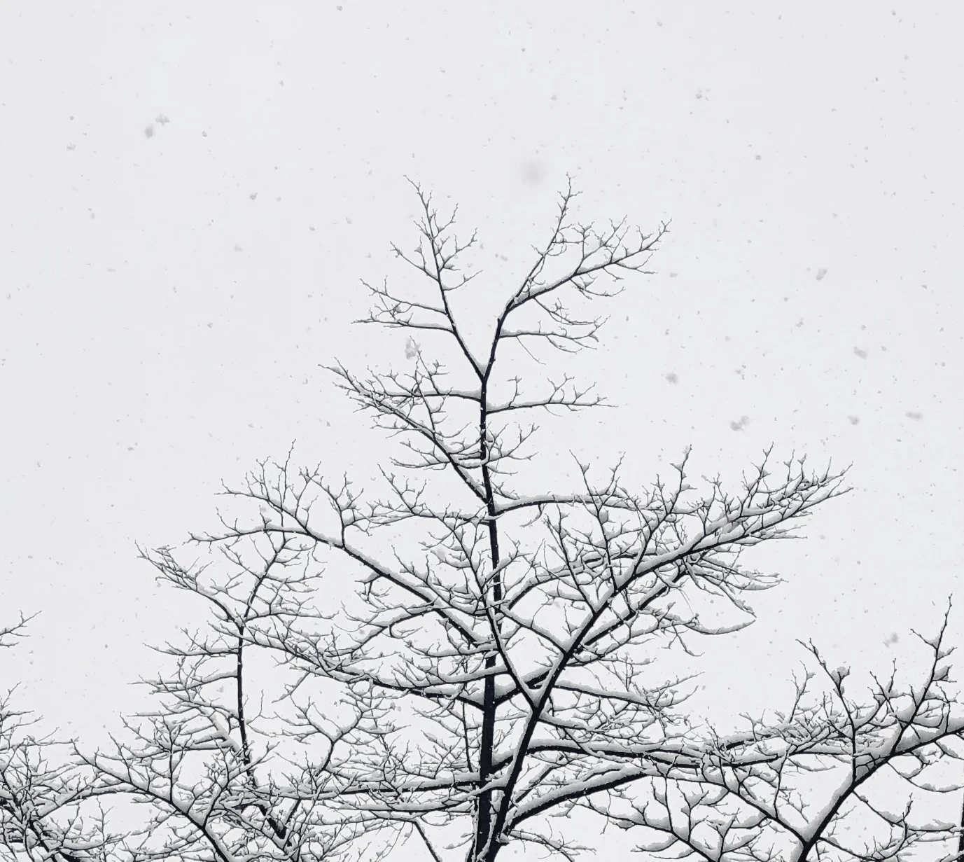 Photo by Tamarazara