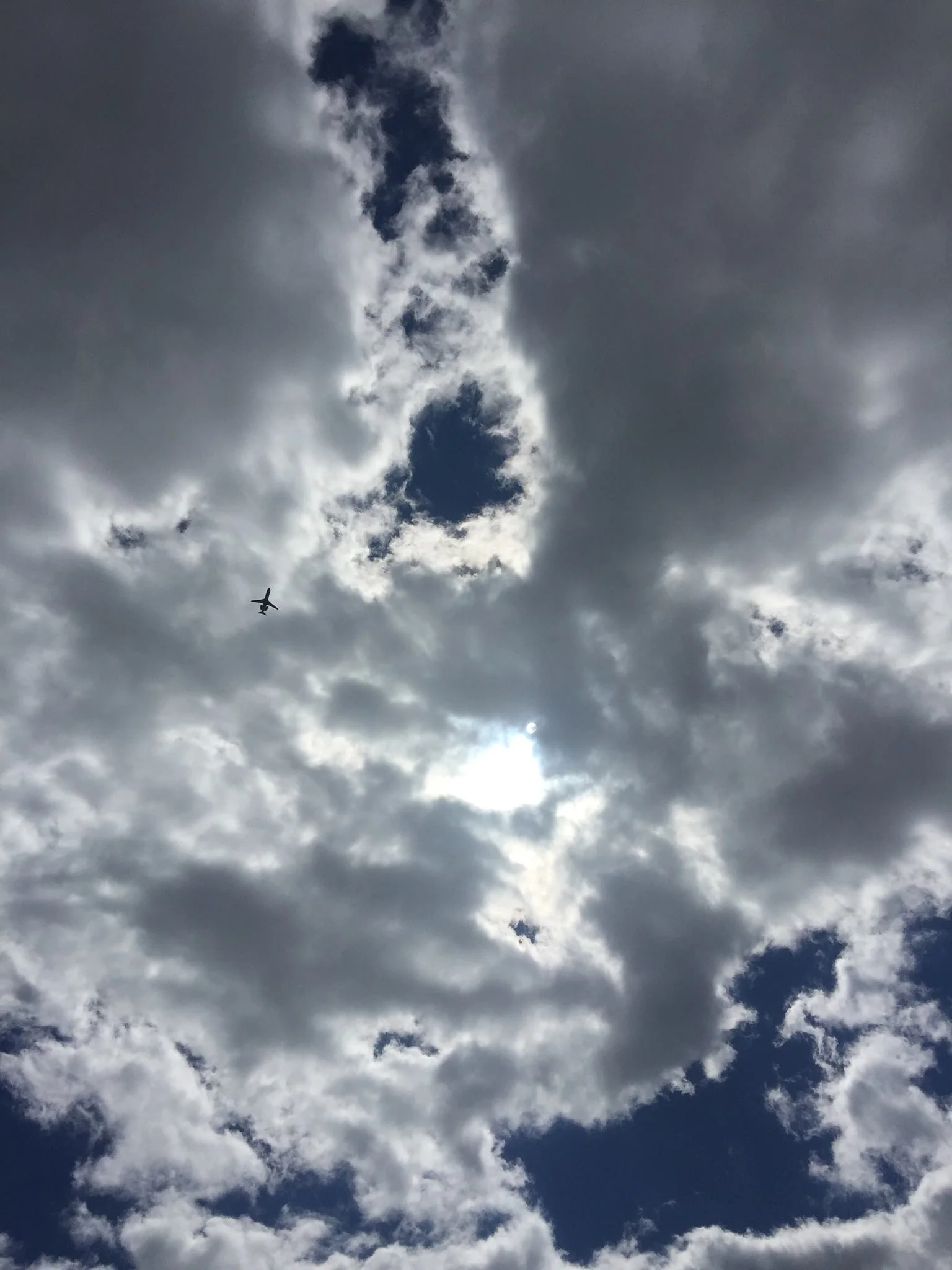 Picture taken by Tamara Kachelmeier