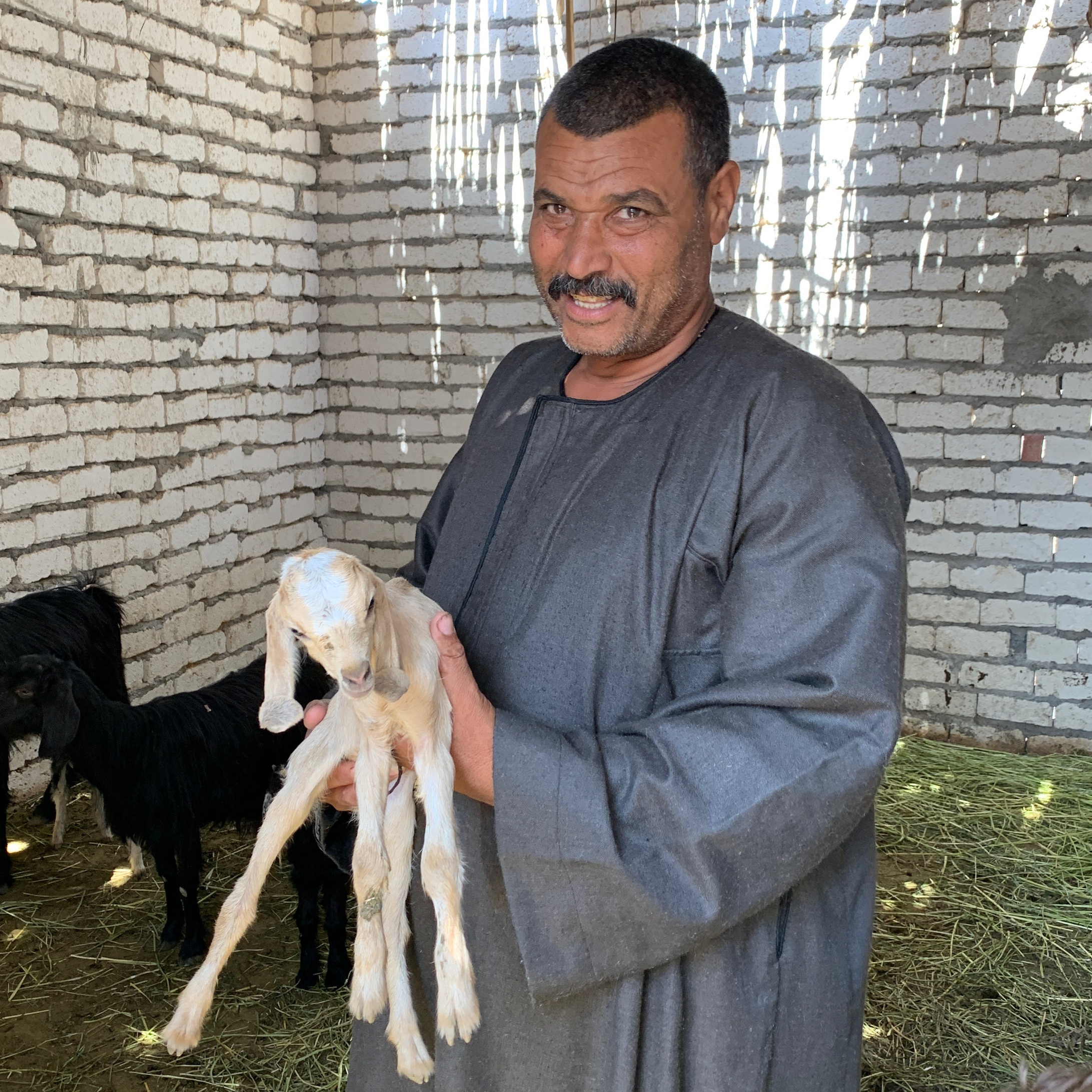 Amir (above) is an onion and goat farmer; Marian (below) sells shoes. Both built their businesses with the help of $200 TOLI microloans.