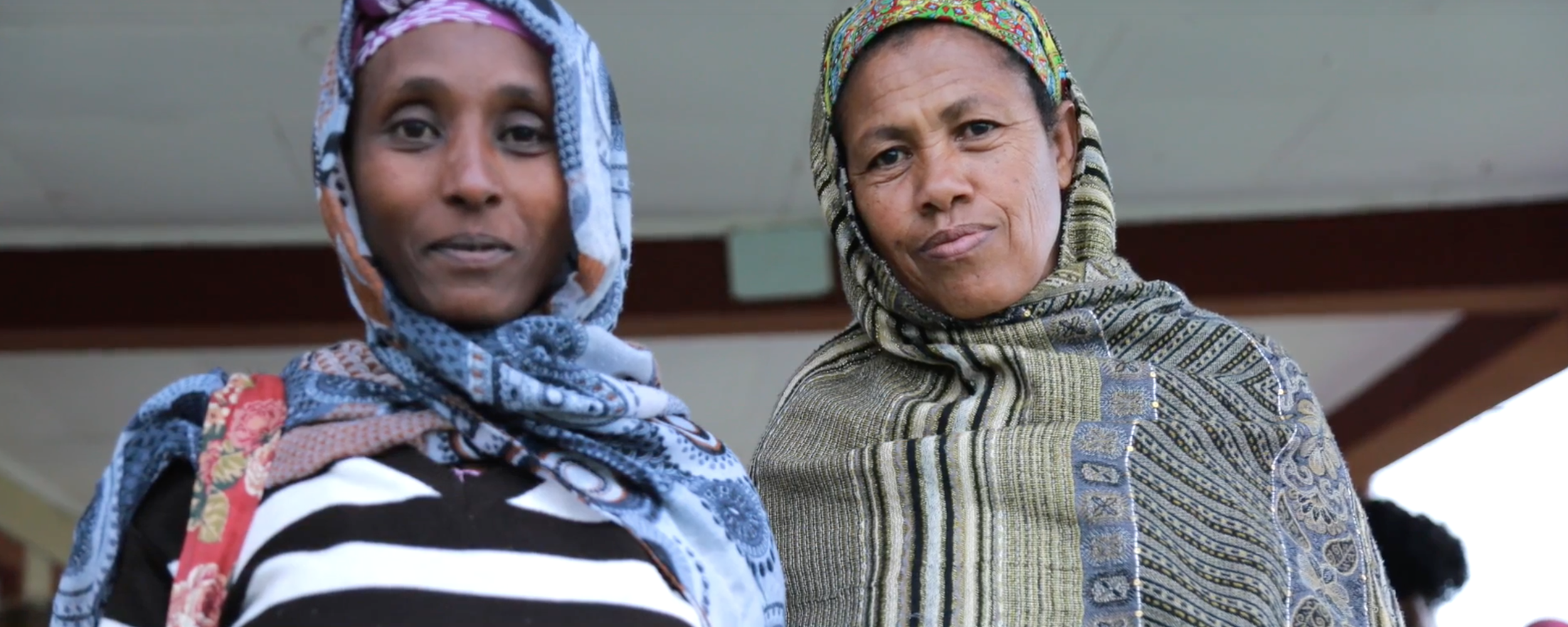 Planting 'New Flowers' in Ethiopia