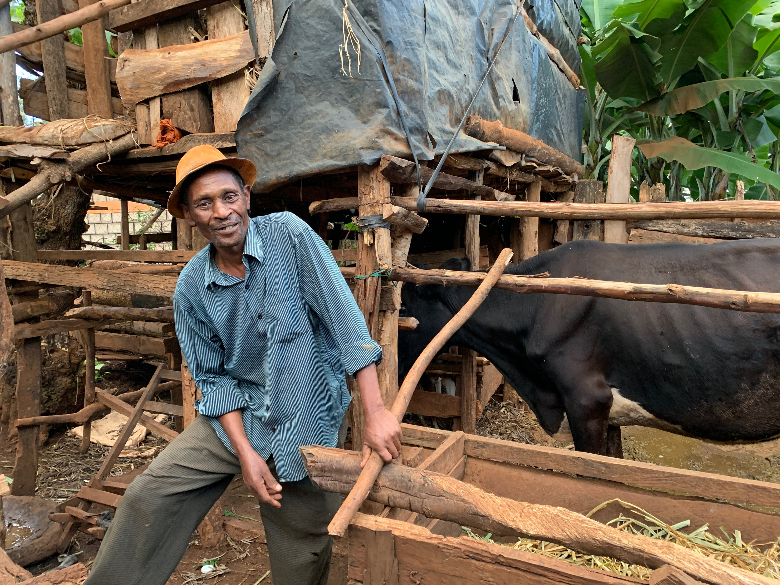 #5 Moses Rukendu, Dairy Farming, livestock care improvements (1).jpg